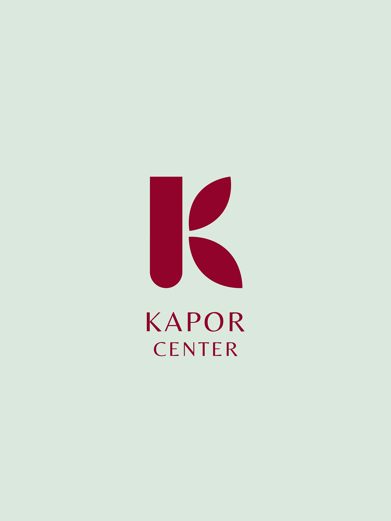 Kapor Brand Identity and System Design