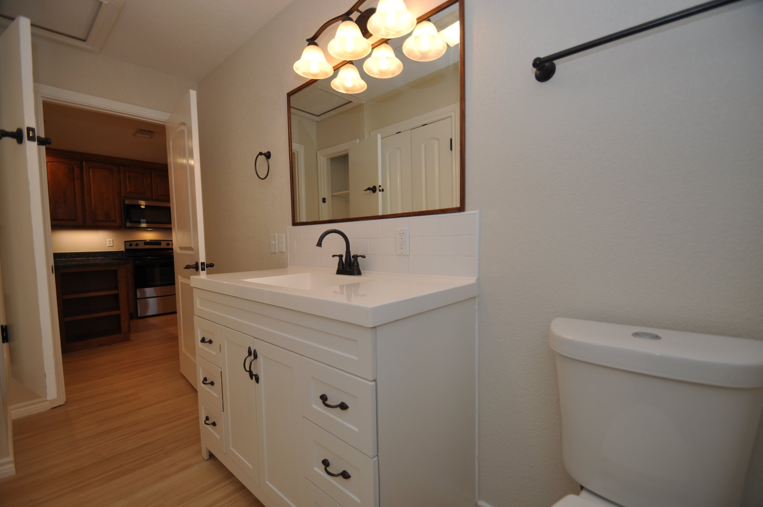 Hall bathroom vanity and new elongated comode