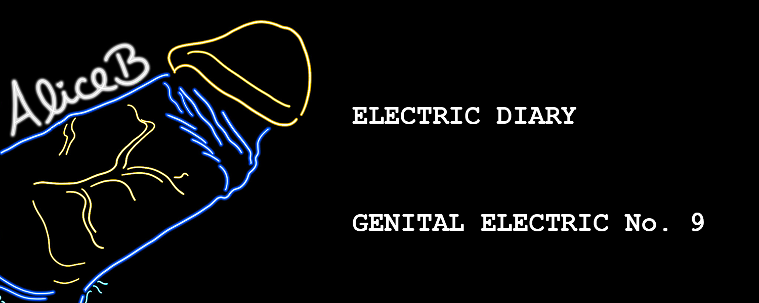Electric Diary: Genital Electric No. 9 