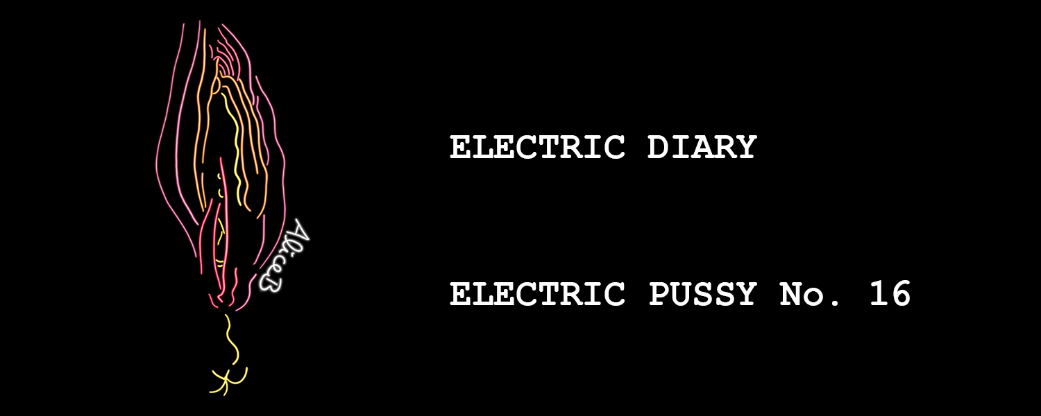 Electric Diary: Electric Pussy No. 16