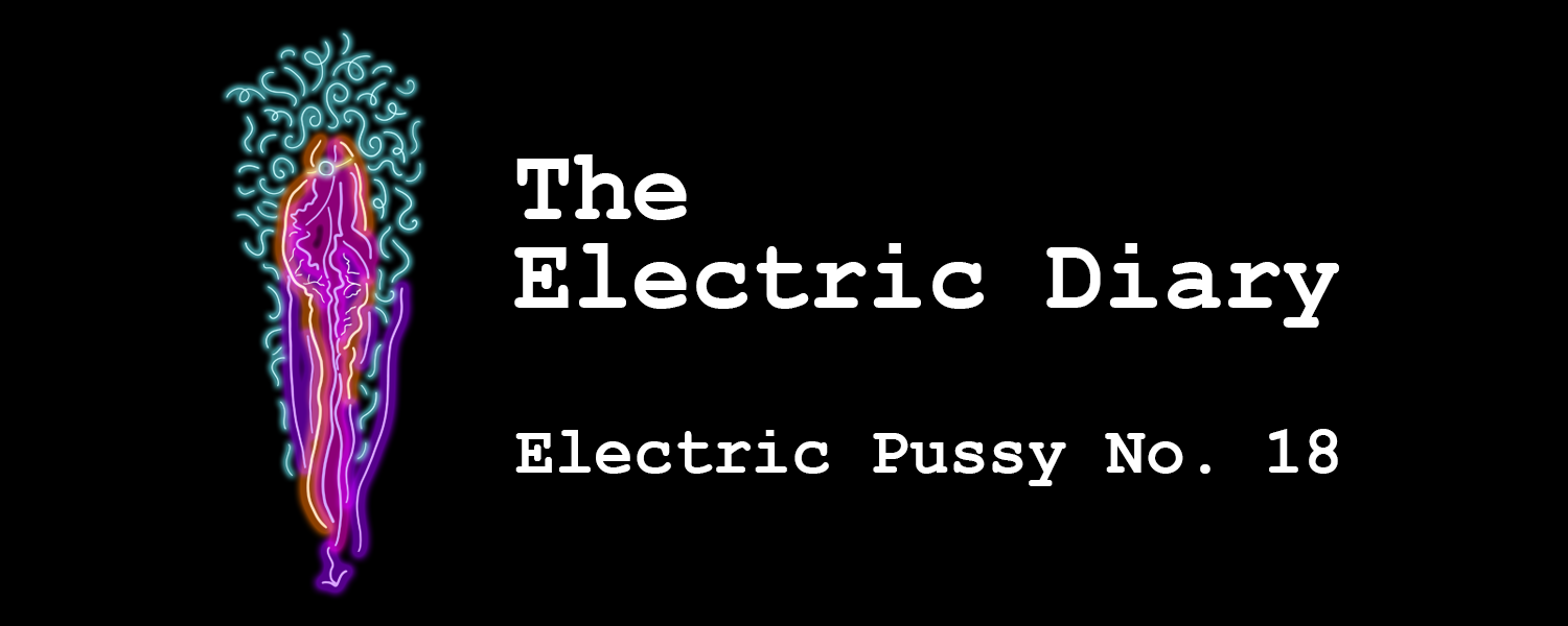 Electric Diary: Electric Pussy No. 18
