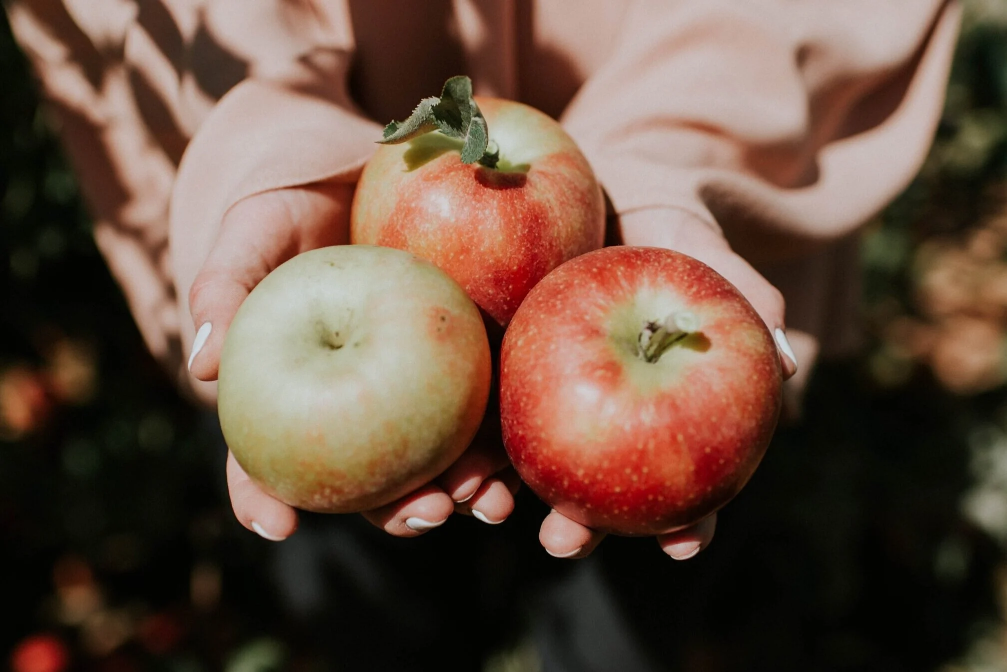 What to do with the first of the season Royal Gala Apples