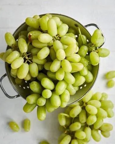 Sweet, crisp, and juicy green grapes &ndash; perfect for lunchboxes, fruit platters, or a refreshing snack anytime.

Grab yours today for just $7.50 per kilo while stocks last! 💚

#southbunburymarketplace #sbmarketplace #yourlocalmarketplace #suppor
