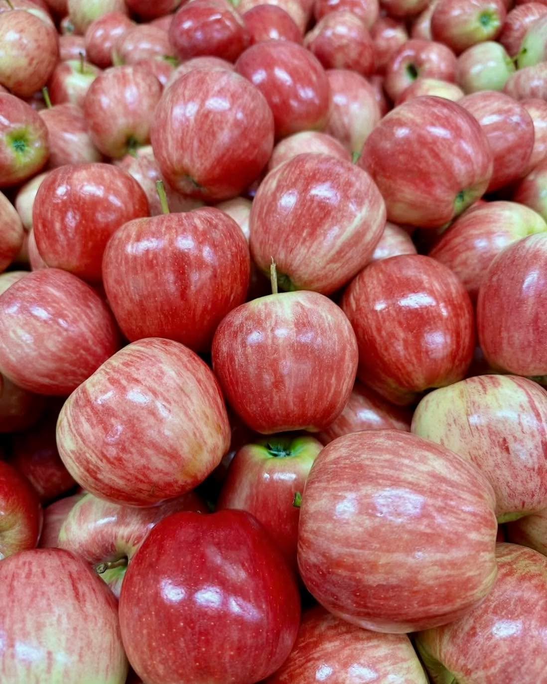 Royal Gala Apples $2.50 a kilo 

** Prices run from 12/03 to 18/03

#southbunburymarketplace #sbmarketplace #yourlocalmarketplace #supportlocal #freshandlocal #fresh #freshfruitandveg #produce #groceriesshopping #groceries #themarketplacesouthbunbury