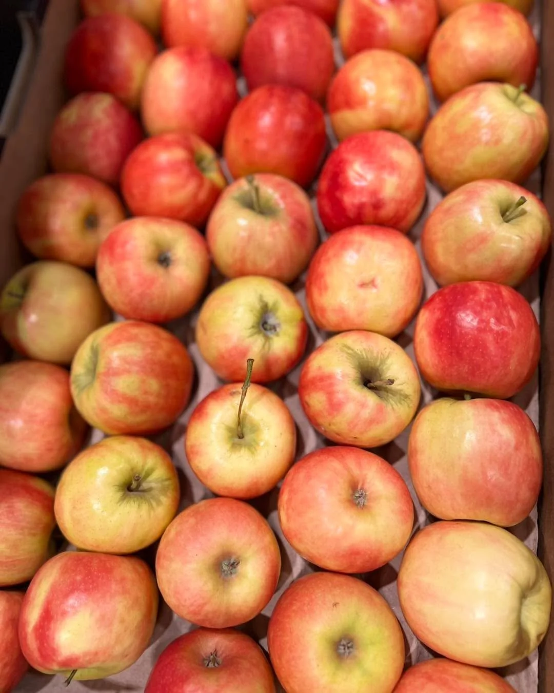 Pink Lady Apples are our Weekend Supersaver at $3 a kilo! 

#southbunburymarketplace #sbmarketplace #yourlocalmarketplace #buywesteatbest #weekendsupersaver #supportlocal #freshandlocal #fresh #freshfruitandveg #produce #themarketplacesouthbunbury