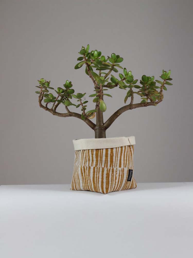 Softpot linen mustard twigs plant.jpg