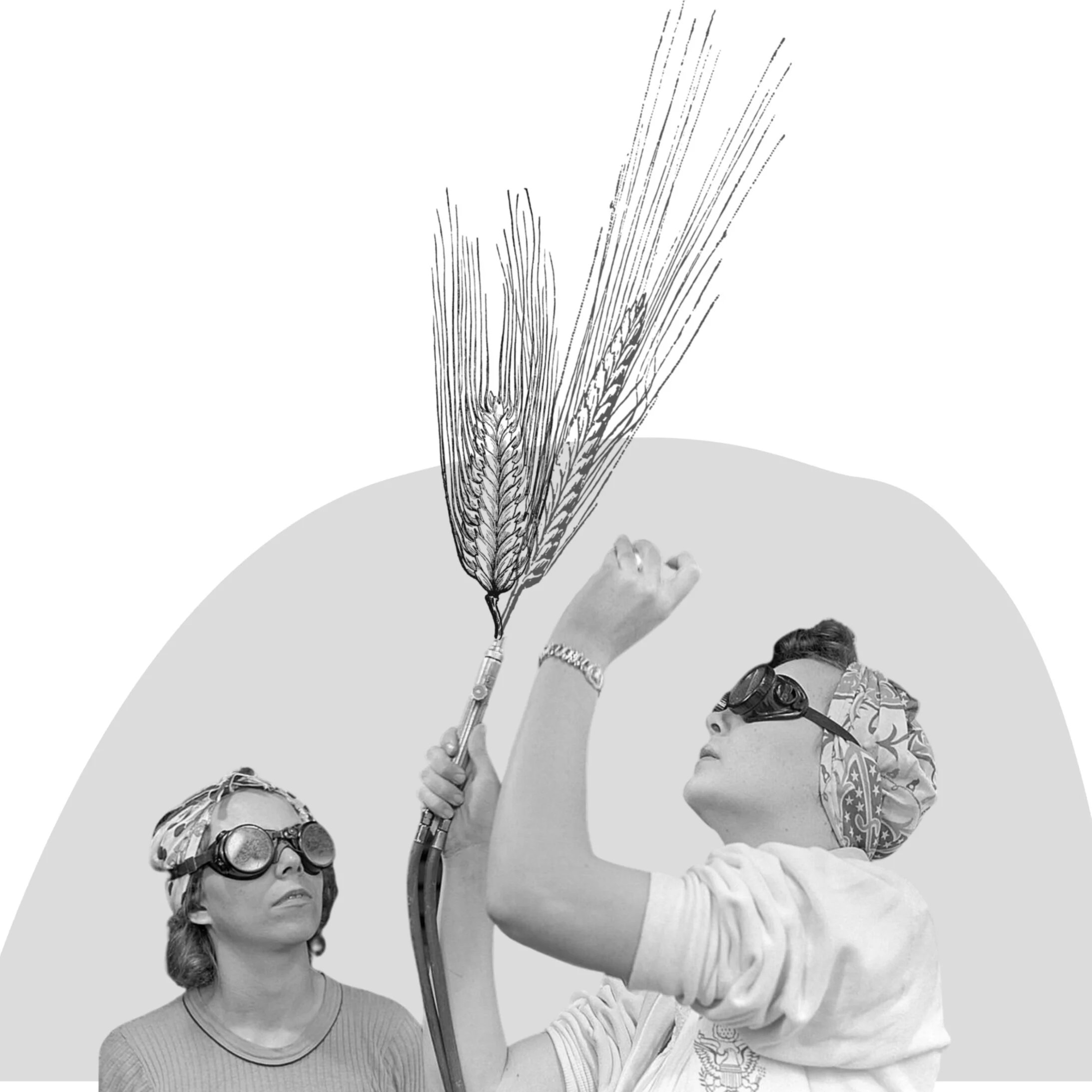 wheat+welders+-+transparent+%281%29.jpg