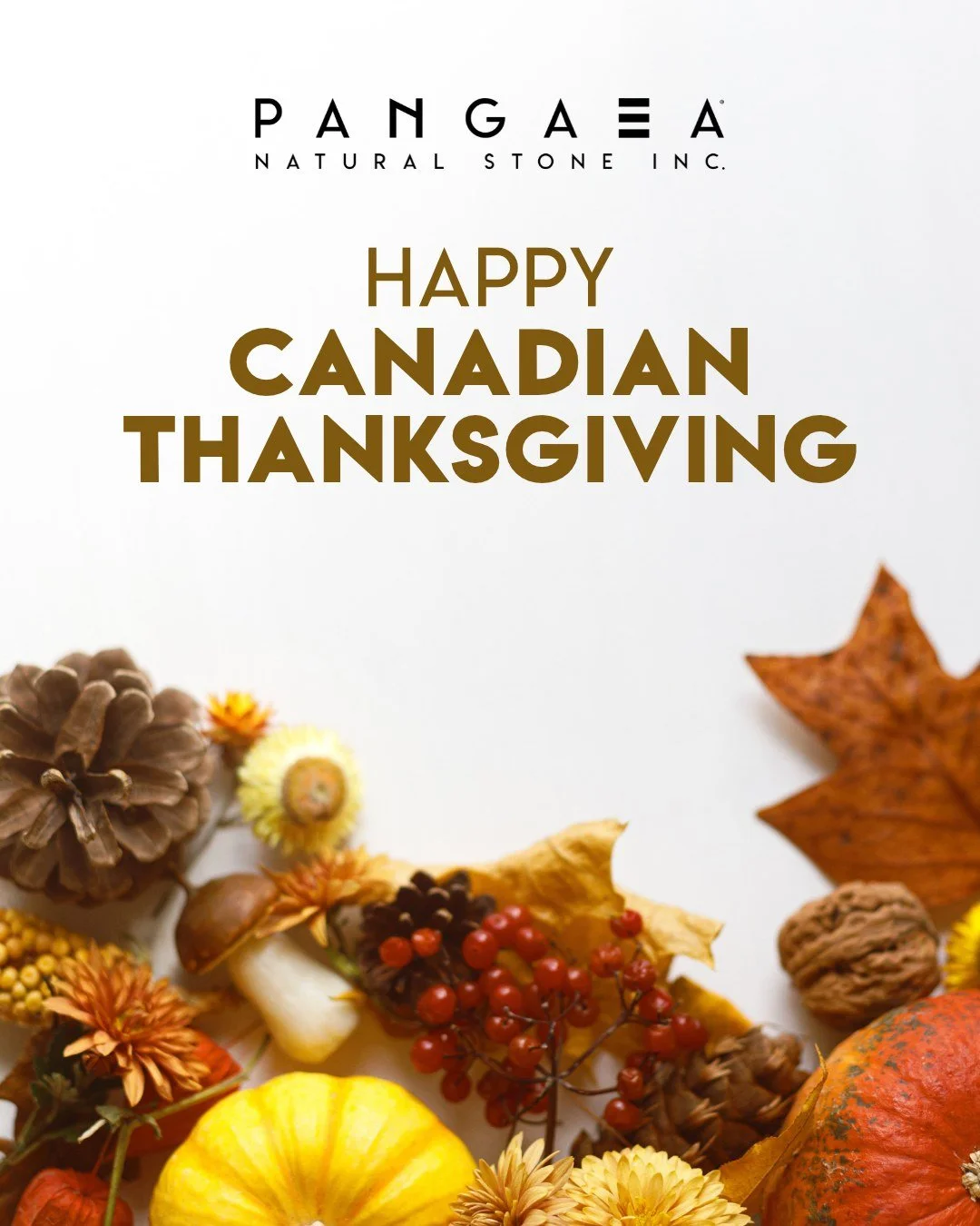 This Canadian Thanksgiving, we&rsquo;re grateful for our team, our partners and the customers who bring Pangaea&reg; into their projects. Thank you for being part of our story.

Wishing our Canadian friends a wonderful Thanksgiving filled with good f