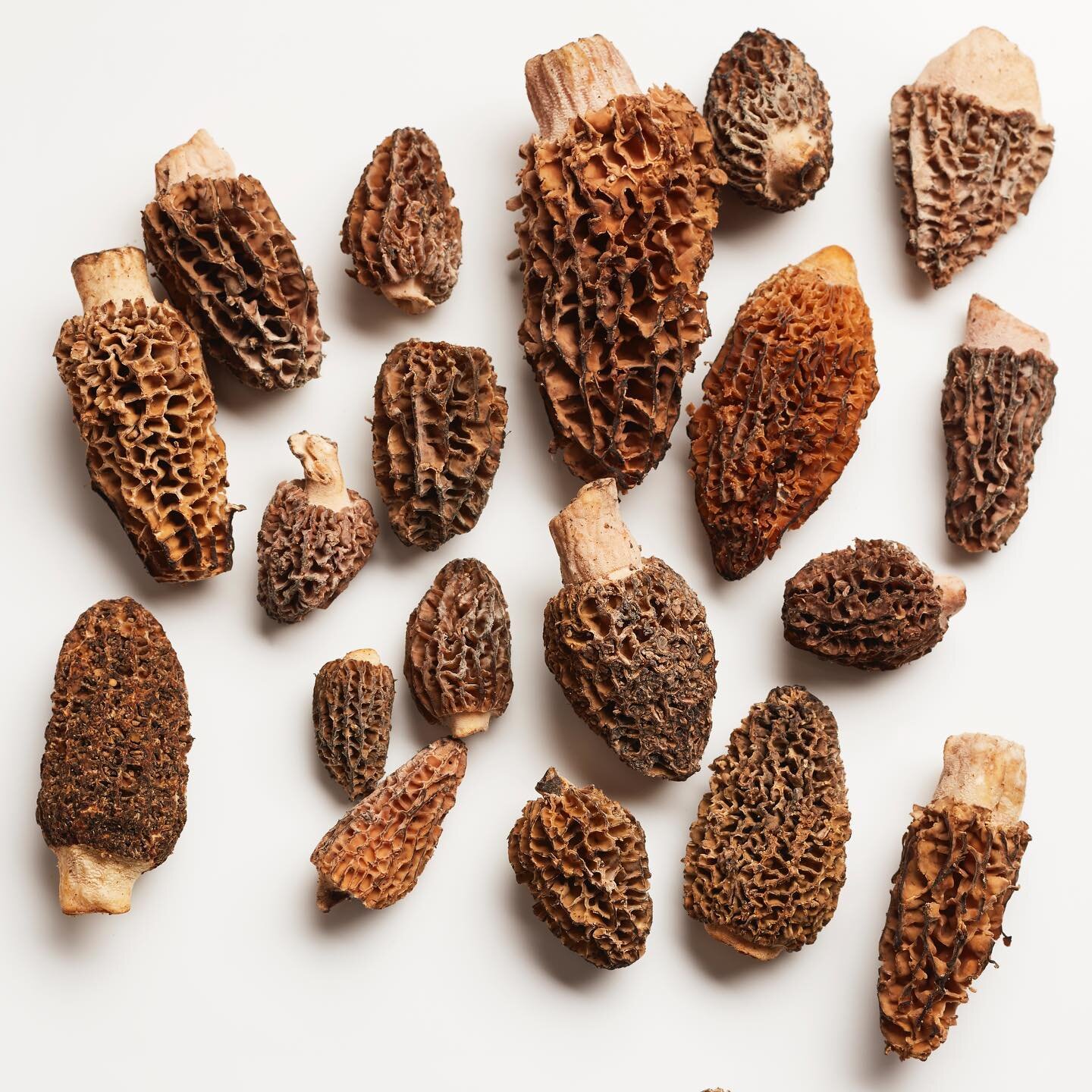 Nature provides us with the most amazing and beautiful ingredients. The quality of the dish depends on the quality of our ingredients. We can&rsquo;t help but look at those beautiful Morel Mushrooms before we start to cook! 

📸: @jodihindsphotograph