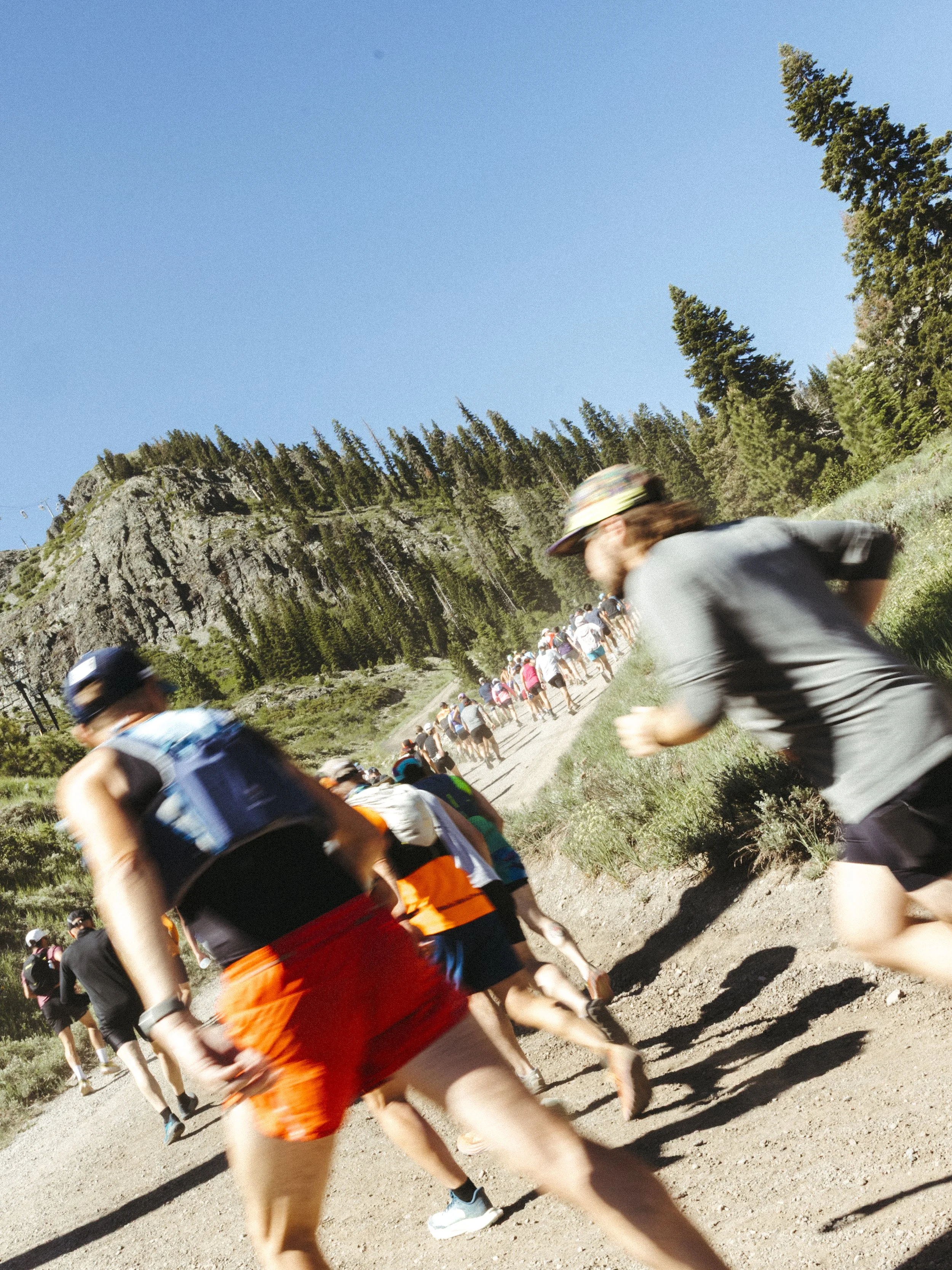 High-Camp_sydneylewis.photo-11.jpg