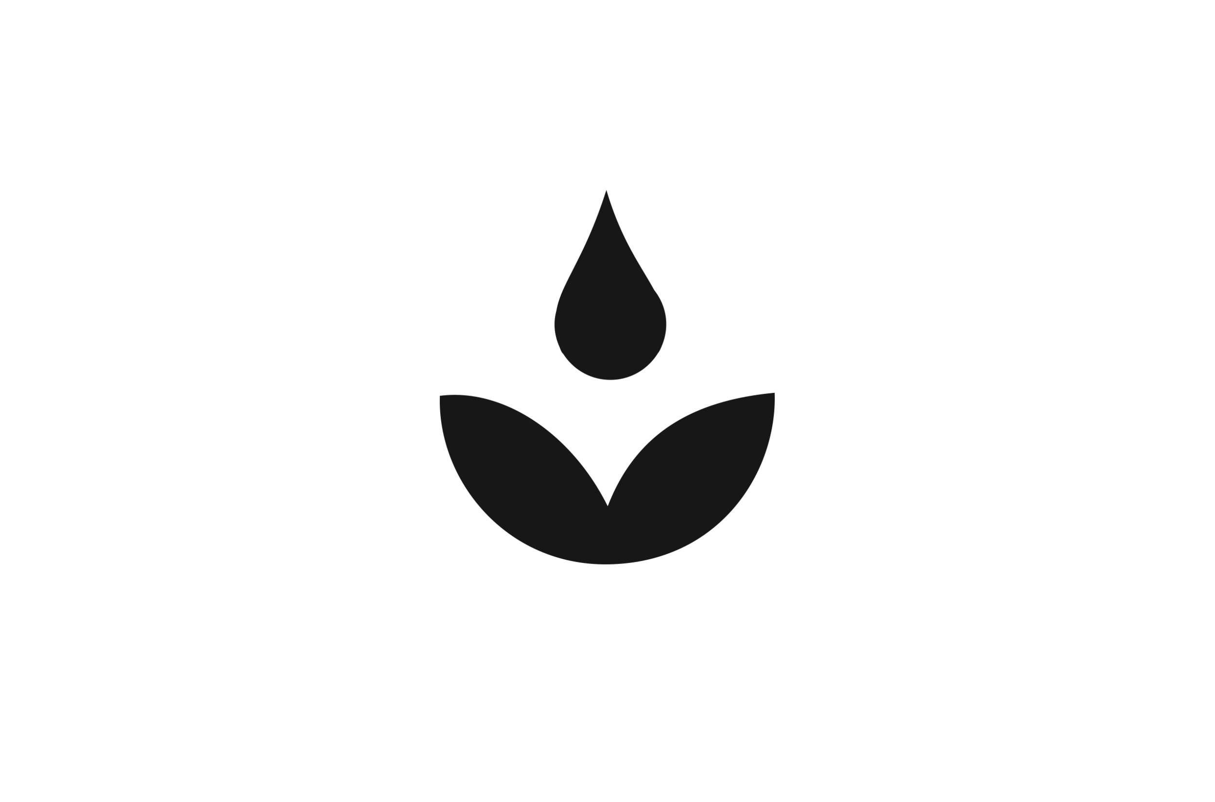 Logo_AttnGrace.png