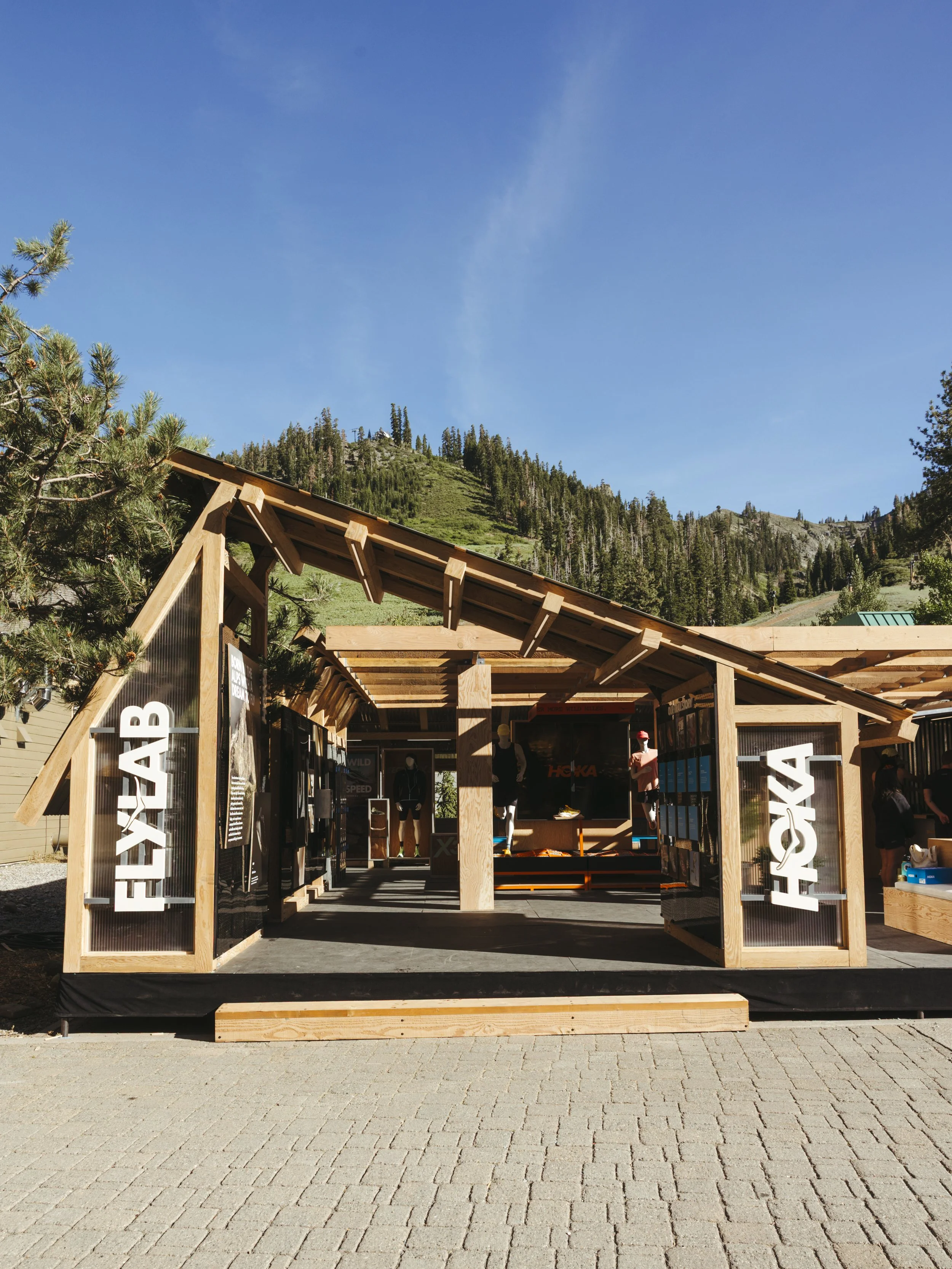 Flylab_sydneylewis.photo-1.jpg