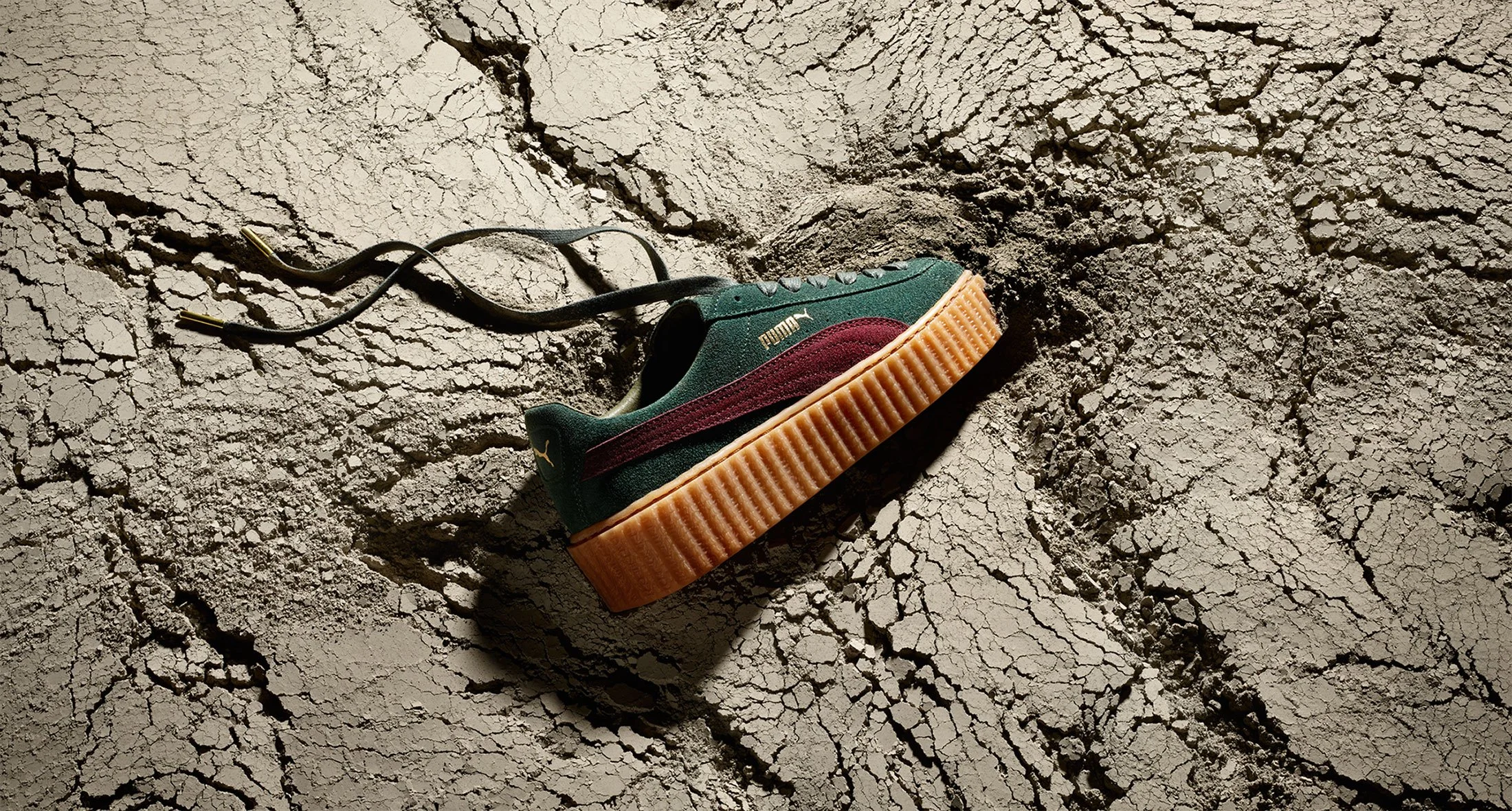 Puma_Creeper_16_07.jpg