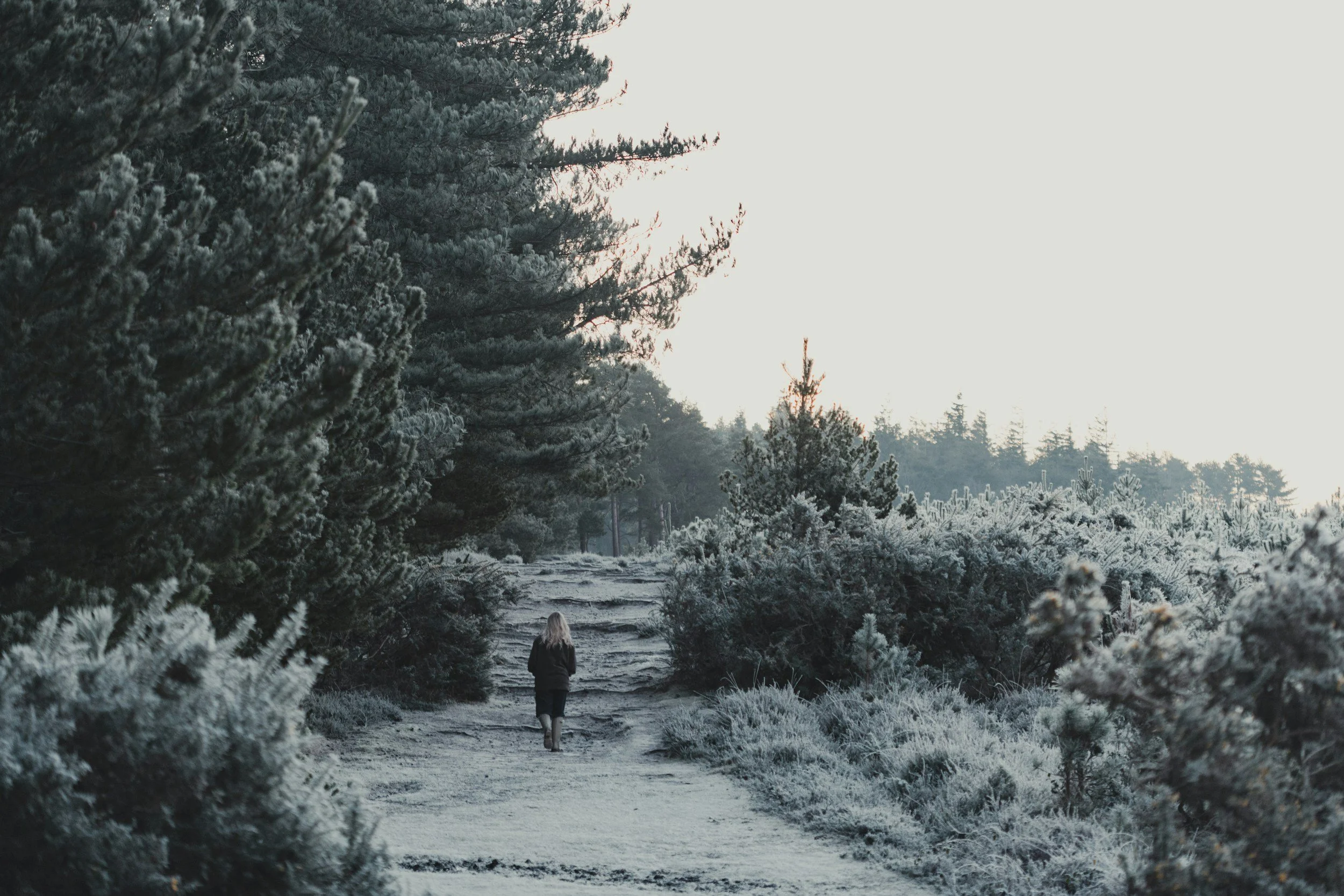 Movement and Exercise are Key to Promote Well-being, Especially During the Winter&nbsp;