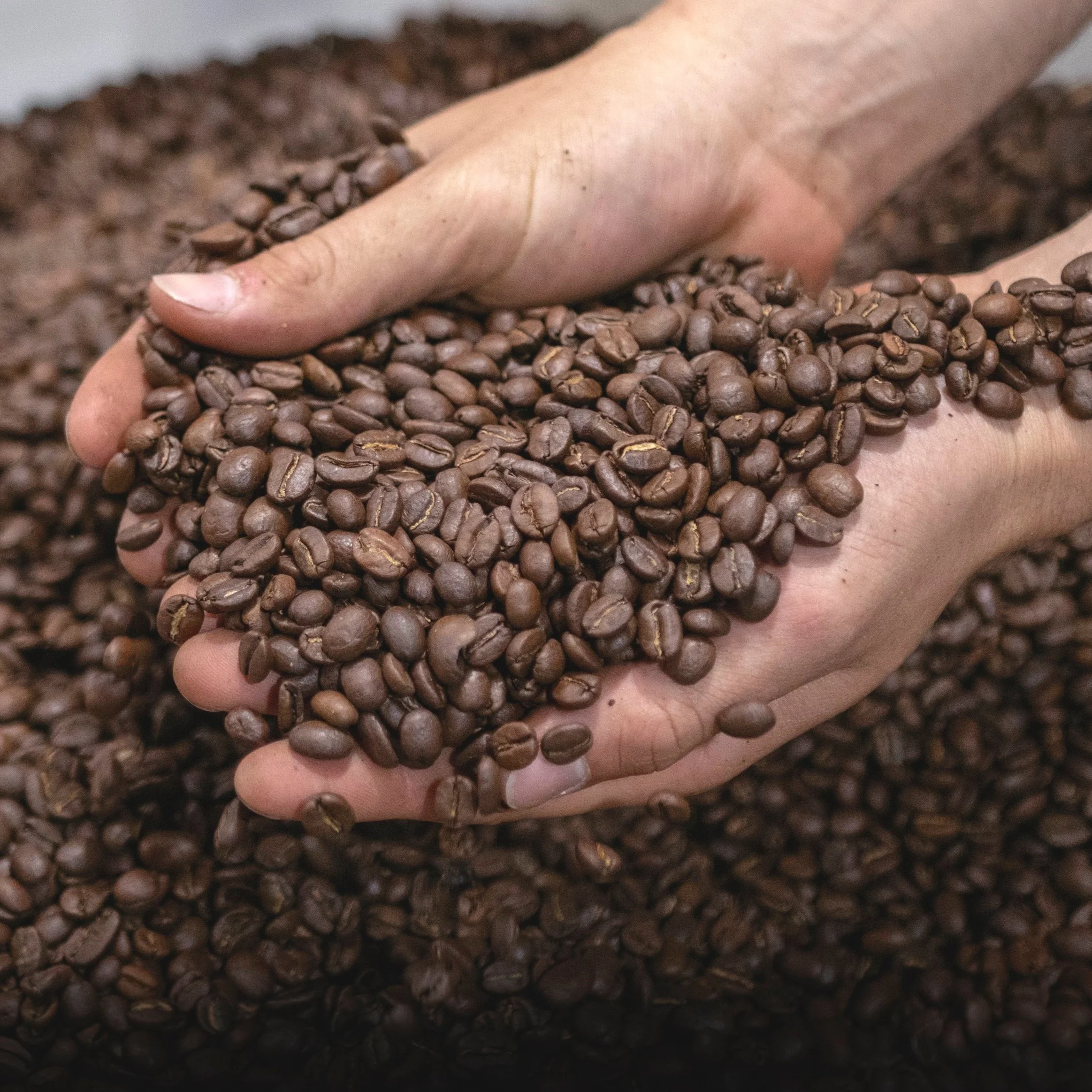 Coffee Beans