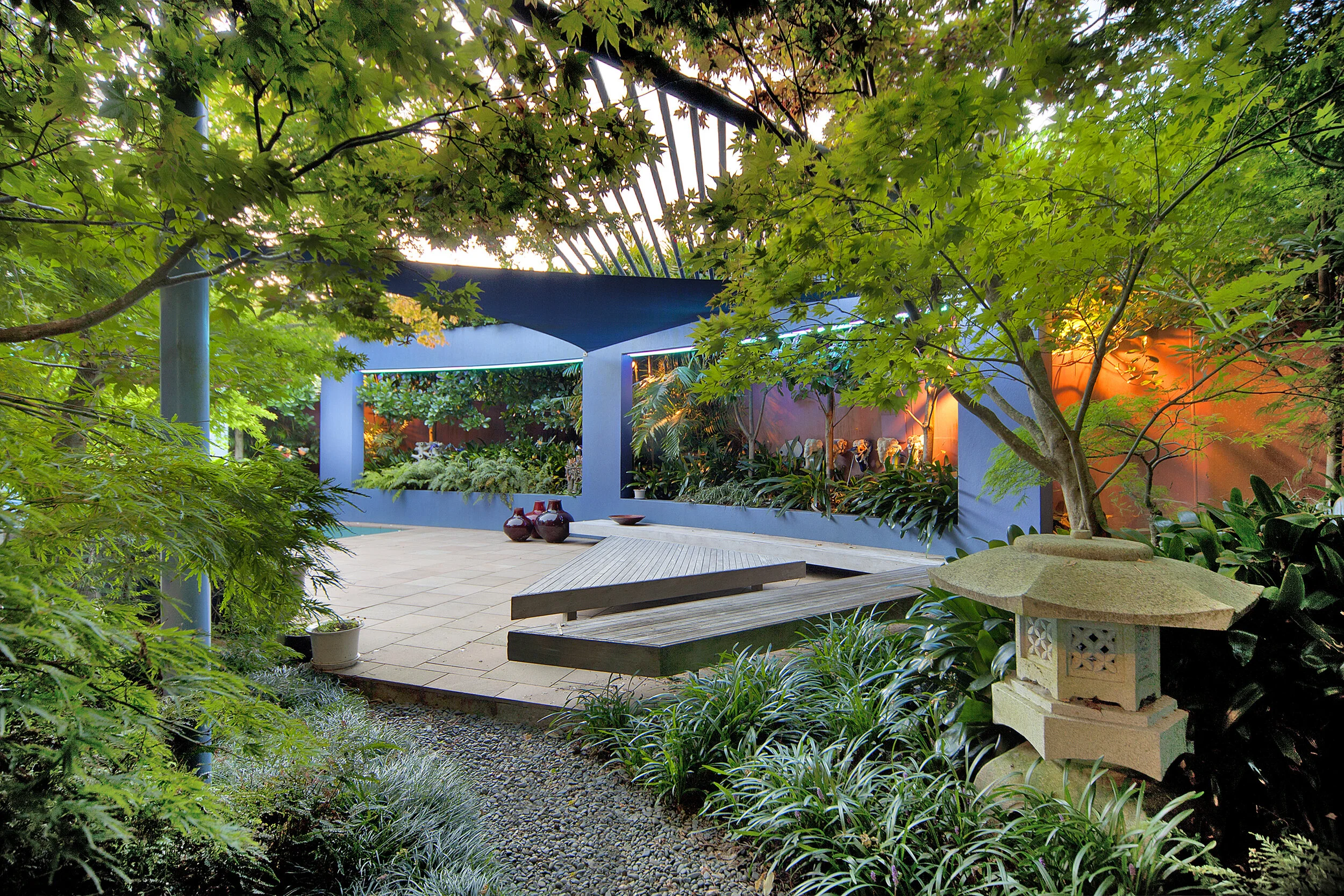 Sang Architects Epsom Maple Trees