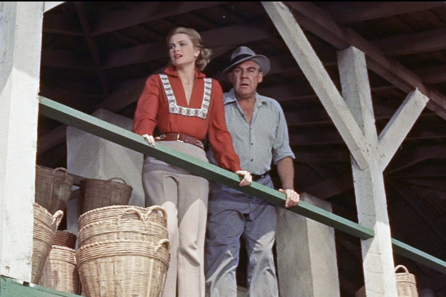 The Grace Kelly style formula, this time with pants instead of a skirt. Still a belt emphasizing the waist.