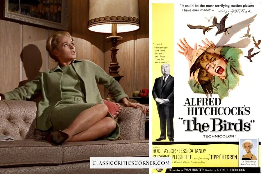 Images from Alfred Hitchcocks movie "The Birds"