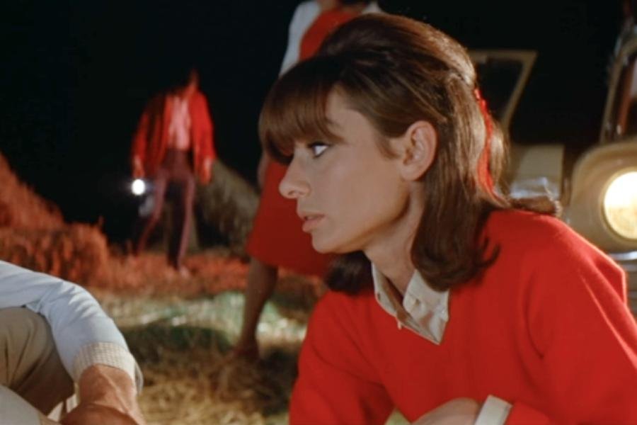 audrey hepburn two for the road sweater