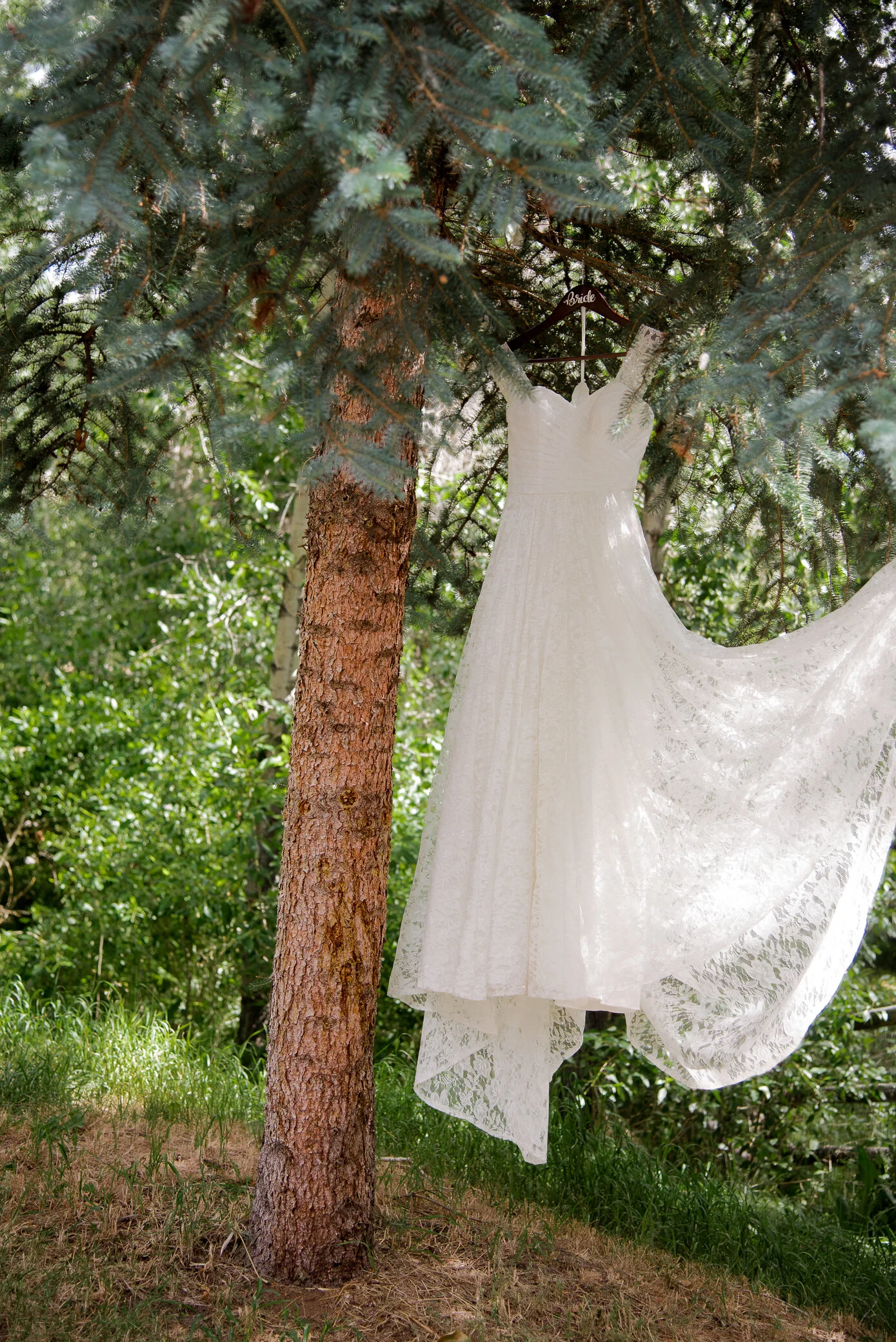 CarolLee_Photo_KCM_Elko_Maternity_Photographer_SpringCreekMaternityPhotogpapher-28.jpg