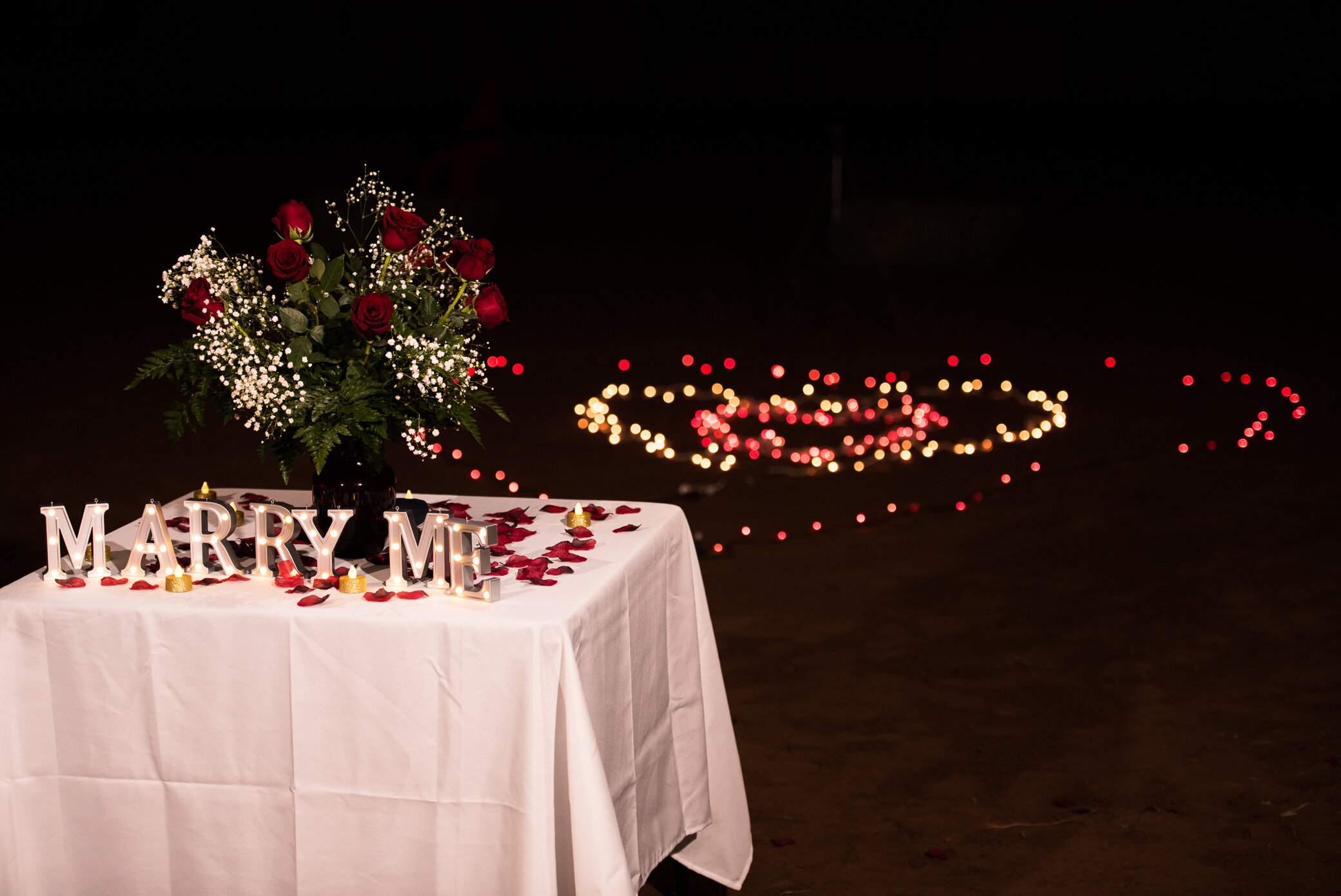 CarolLee_Photo_JD_Proposal_Elko_Wedding_Photographer_Spring_Creek_Wedding_Photographer_Carlin_Wedding_Photographer -04.jpg