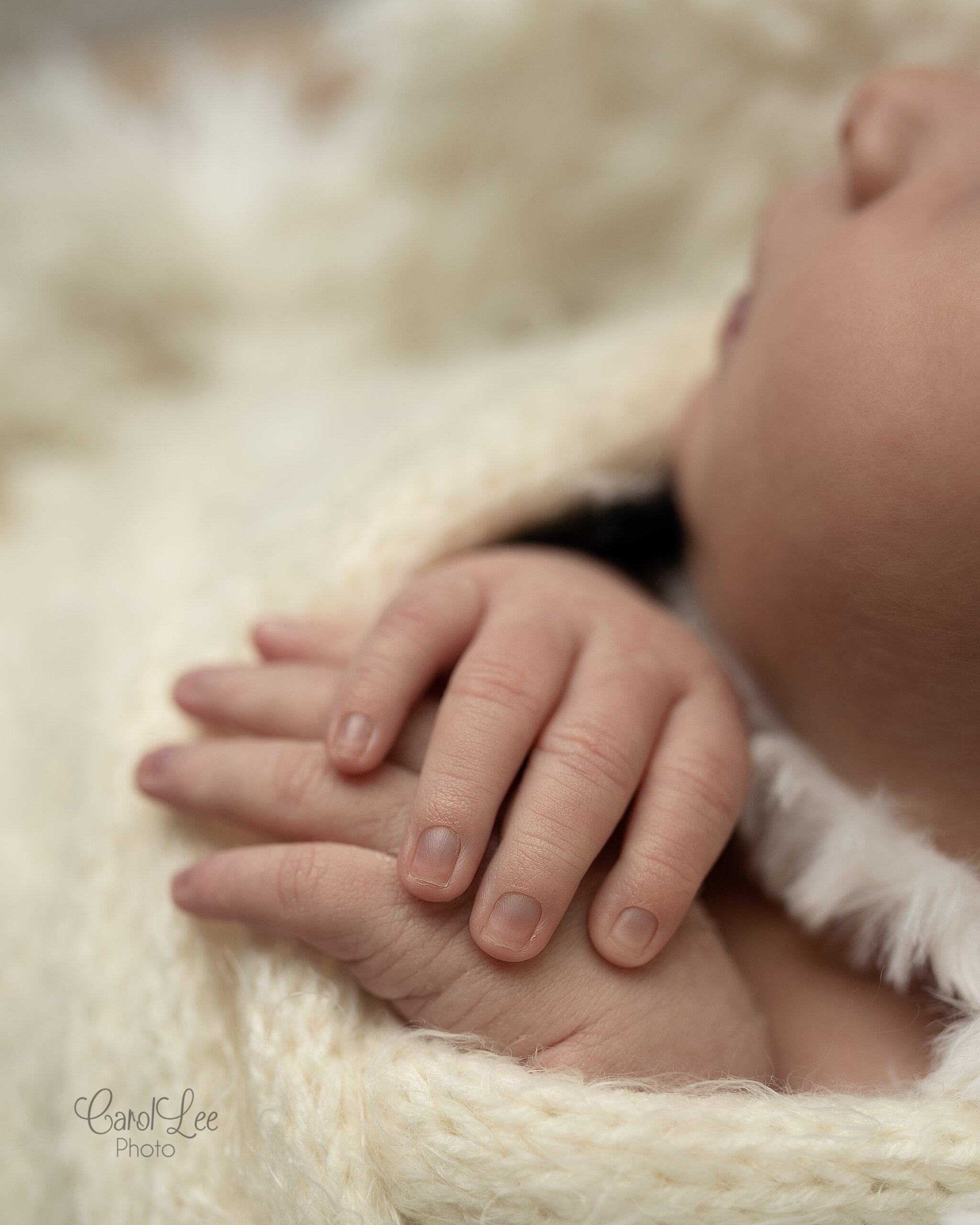 CarolLee_Photo_QD_Elko_Newborn_Photographer_Spring_Creek_Newborn_Photographer_Carlin_Newborn_Photographer-05.jpg