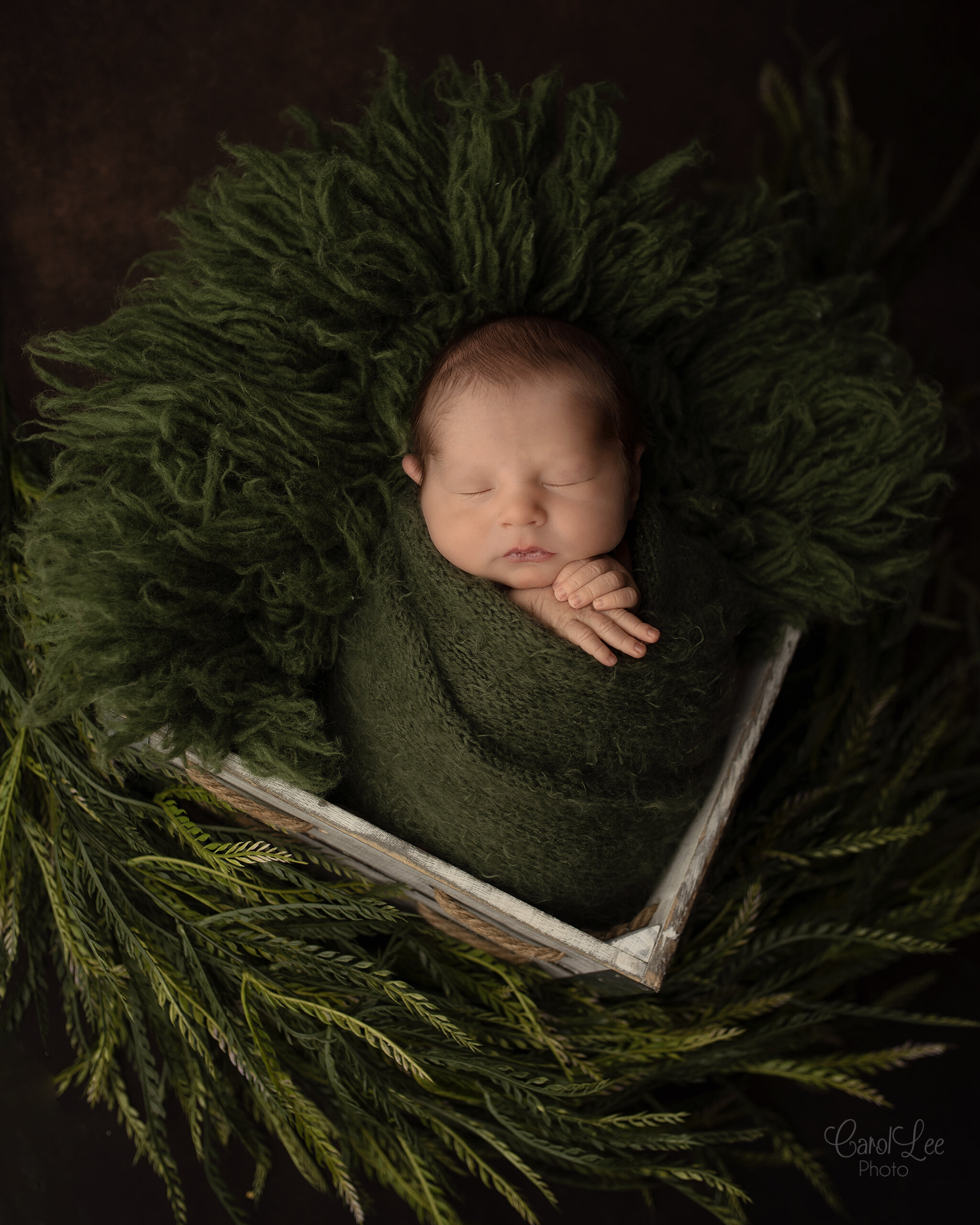 Elko Newborn Photographer