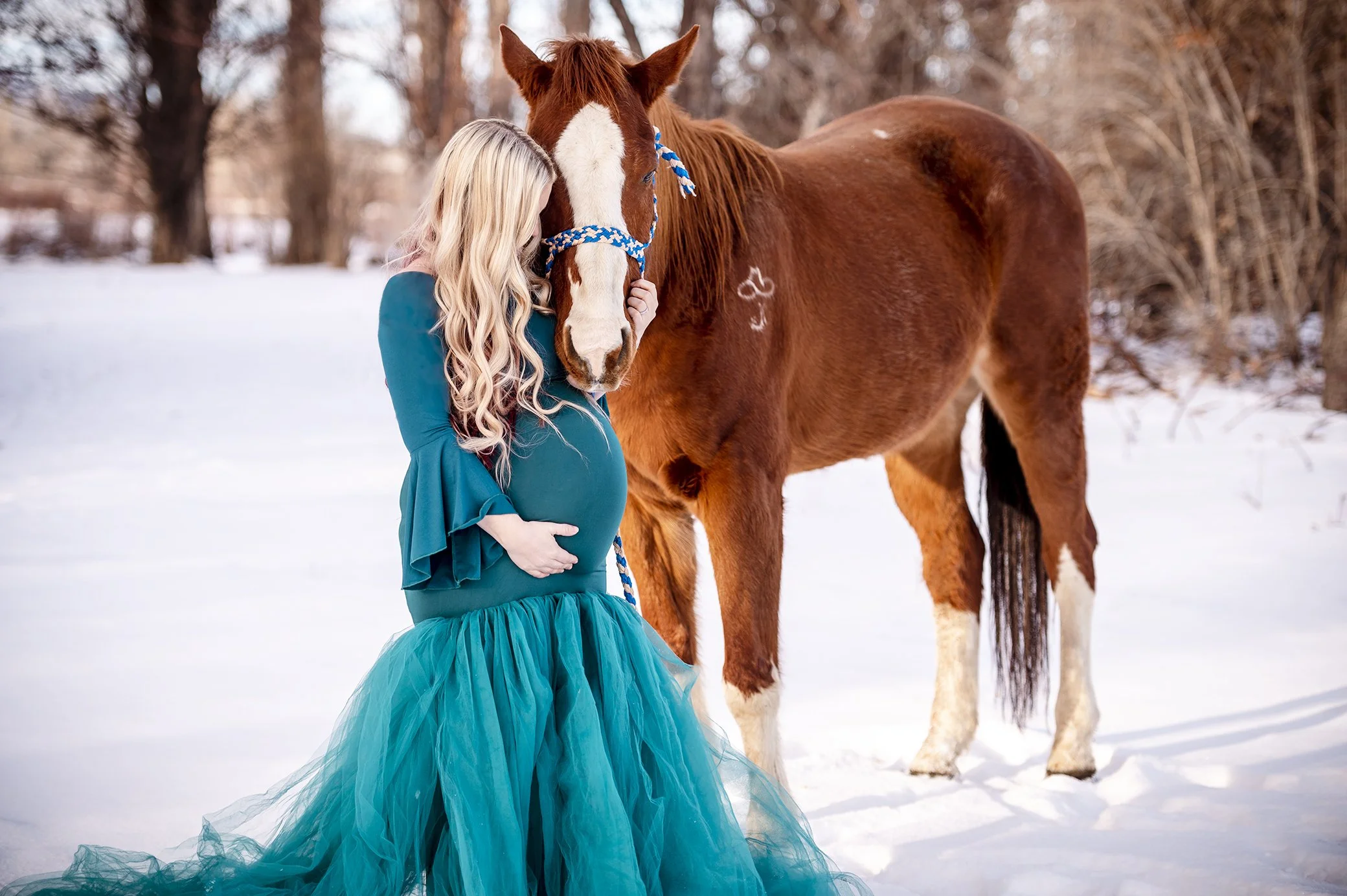 Horse Maternity Portraits Teal Gown in Snow
