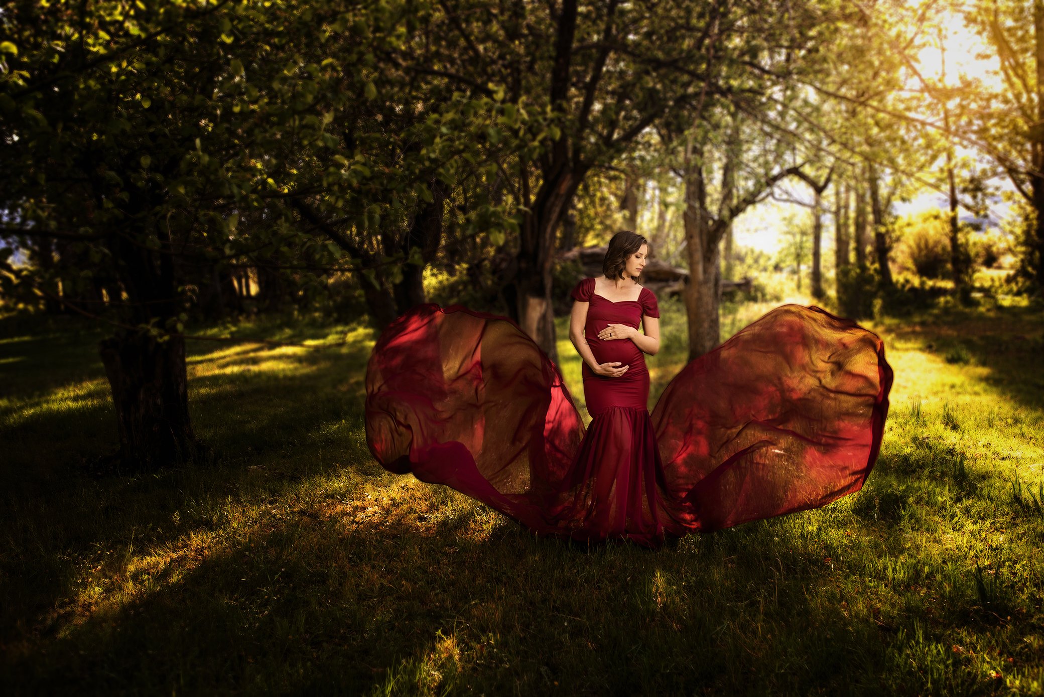 CarolLee Jayne Portraits Baby Bump Pictures
