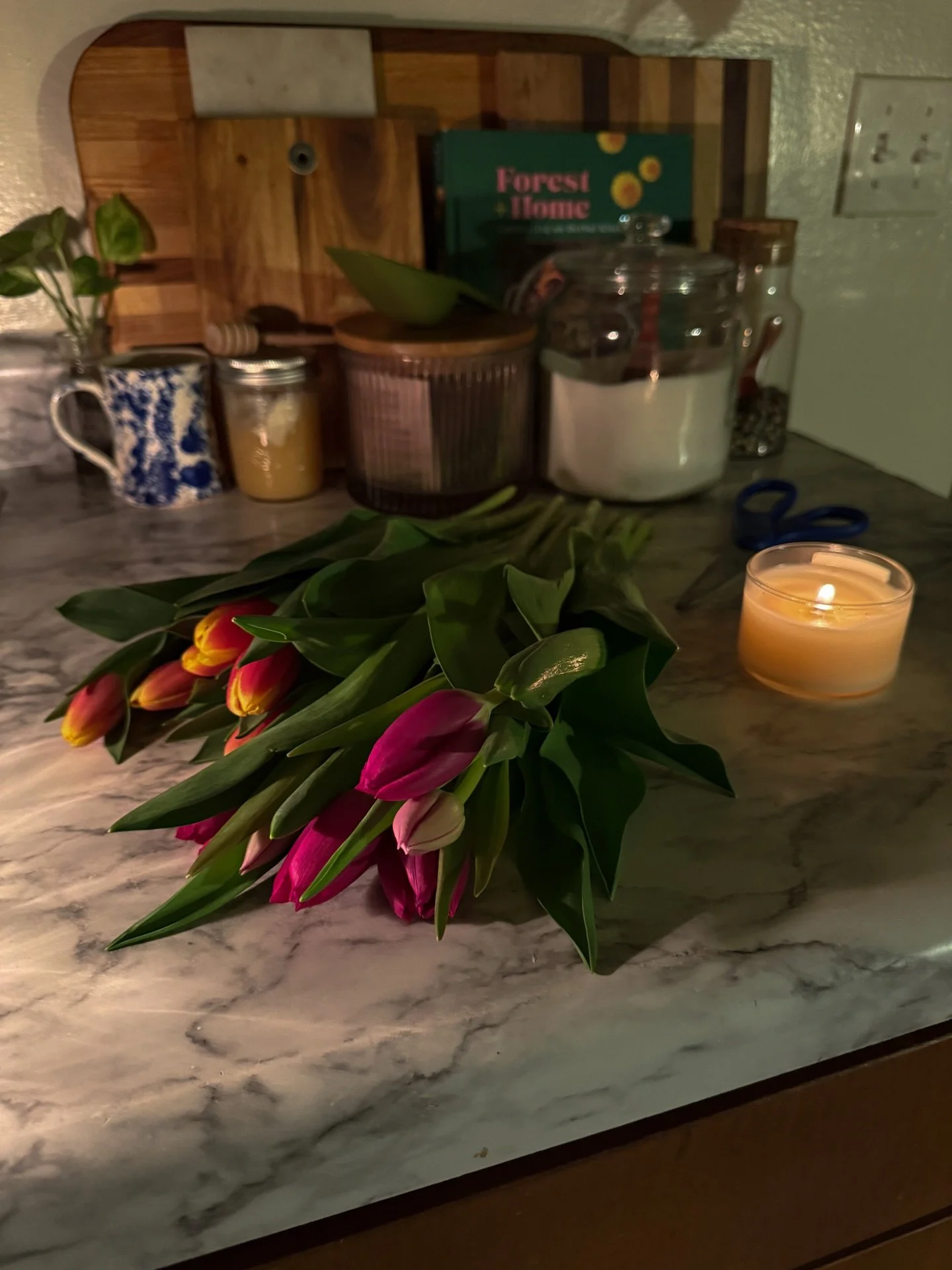 slowly stepping into spring 🌚🌷