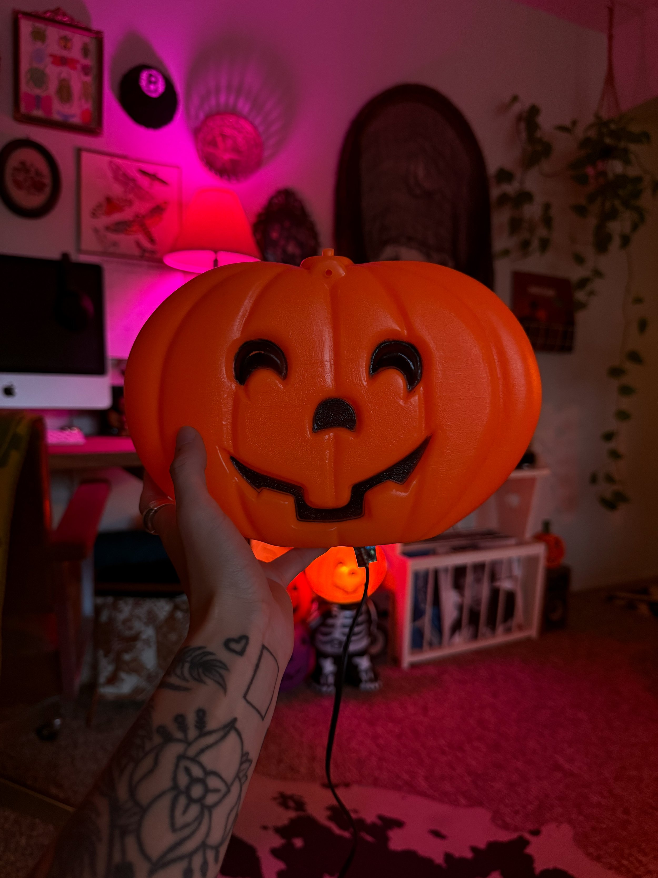 IMG_8082.jpeg