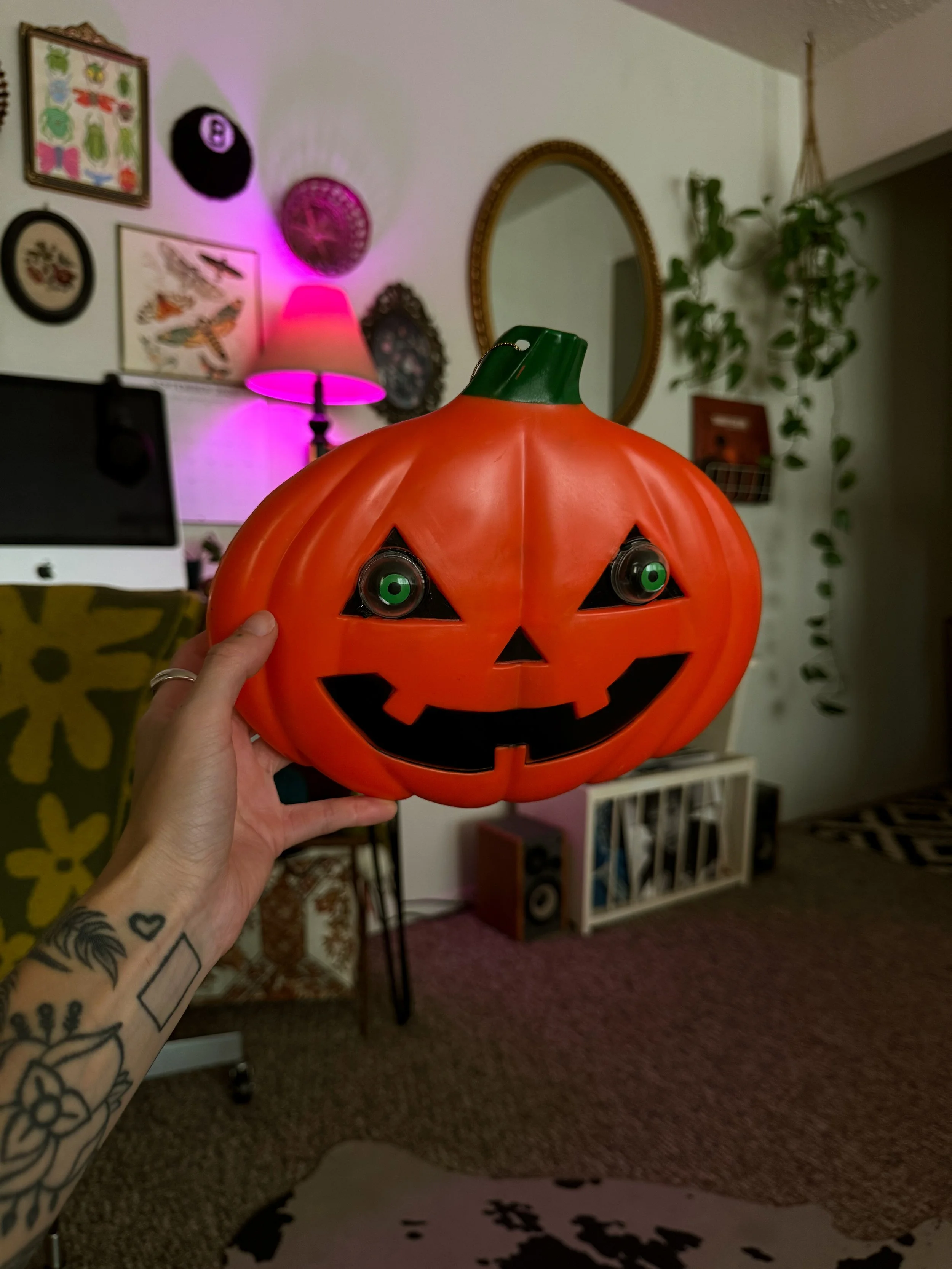 IMG_5816.jpeg