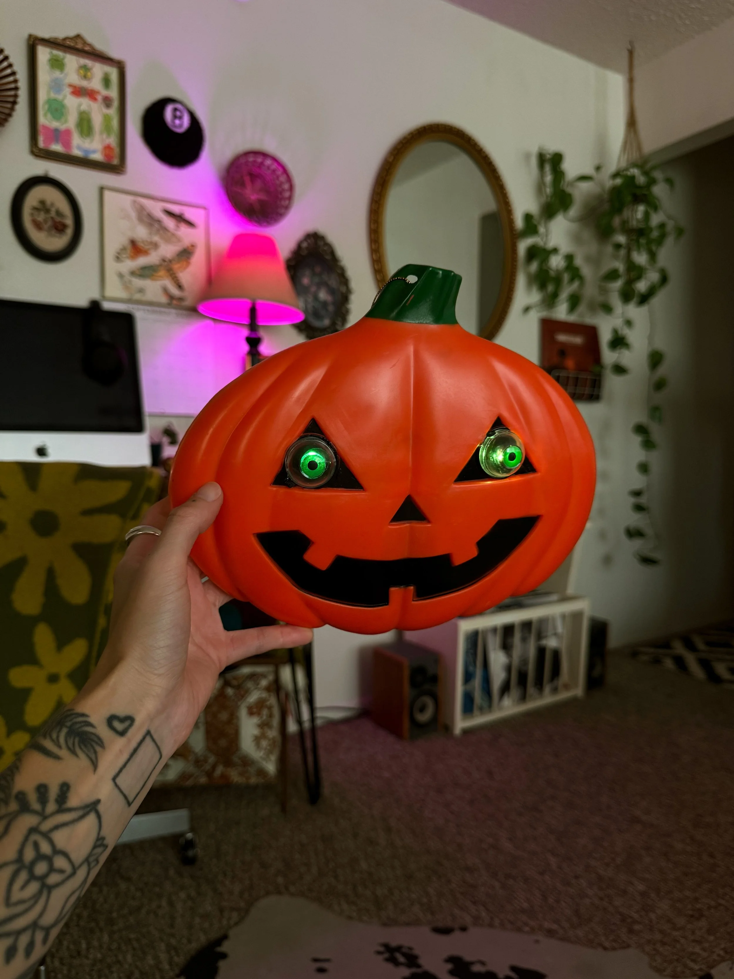 IMG_5815.jpeg