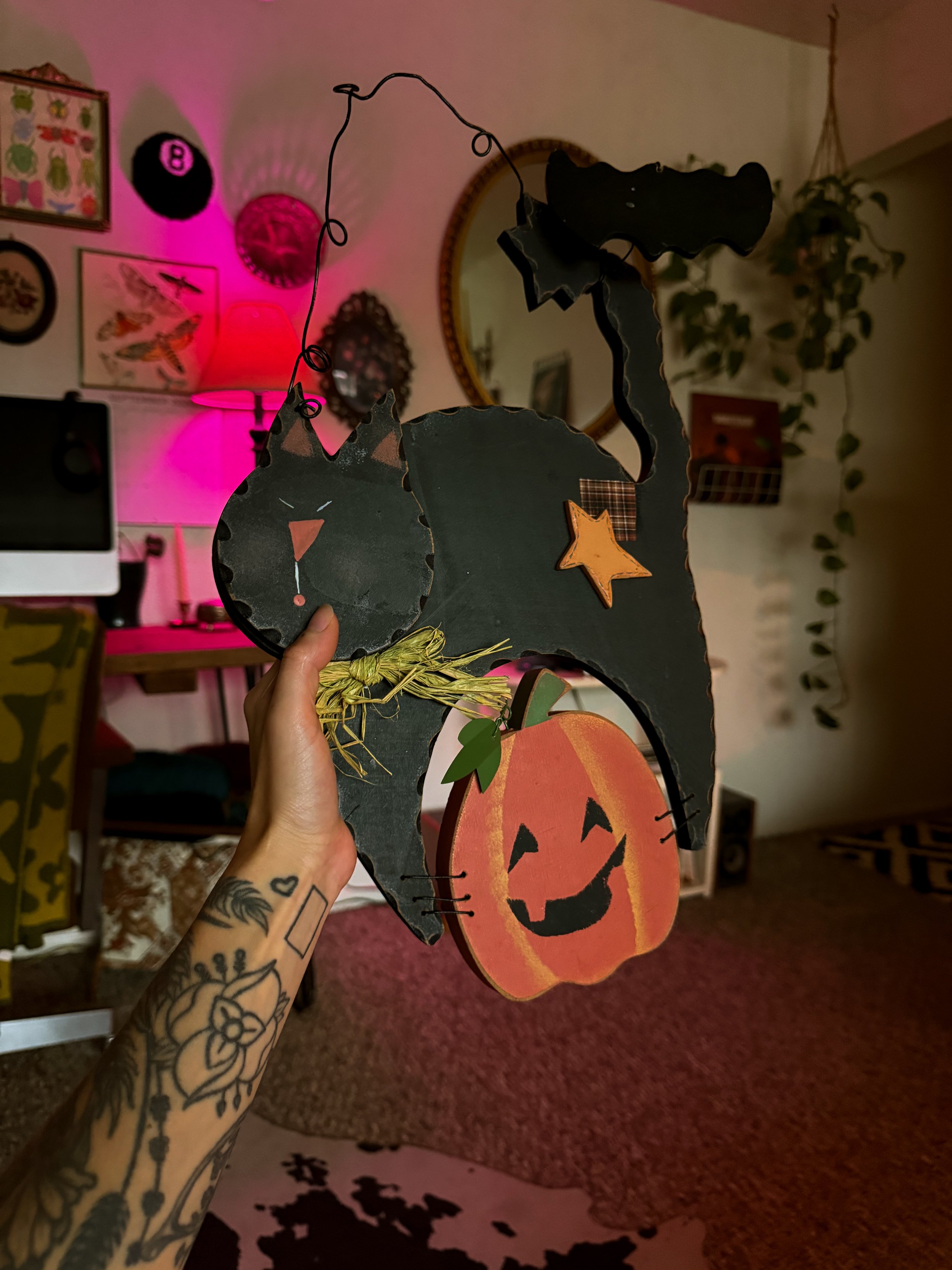 IMG_5282.jpeg