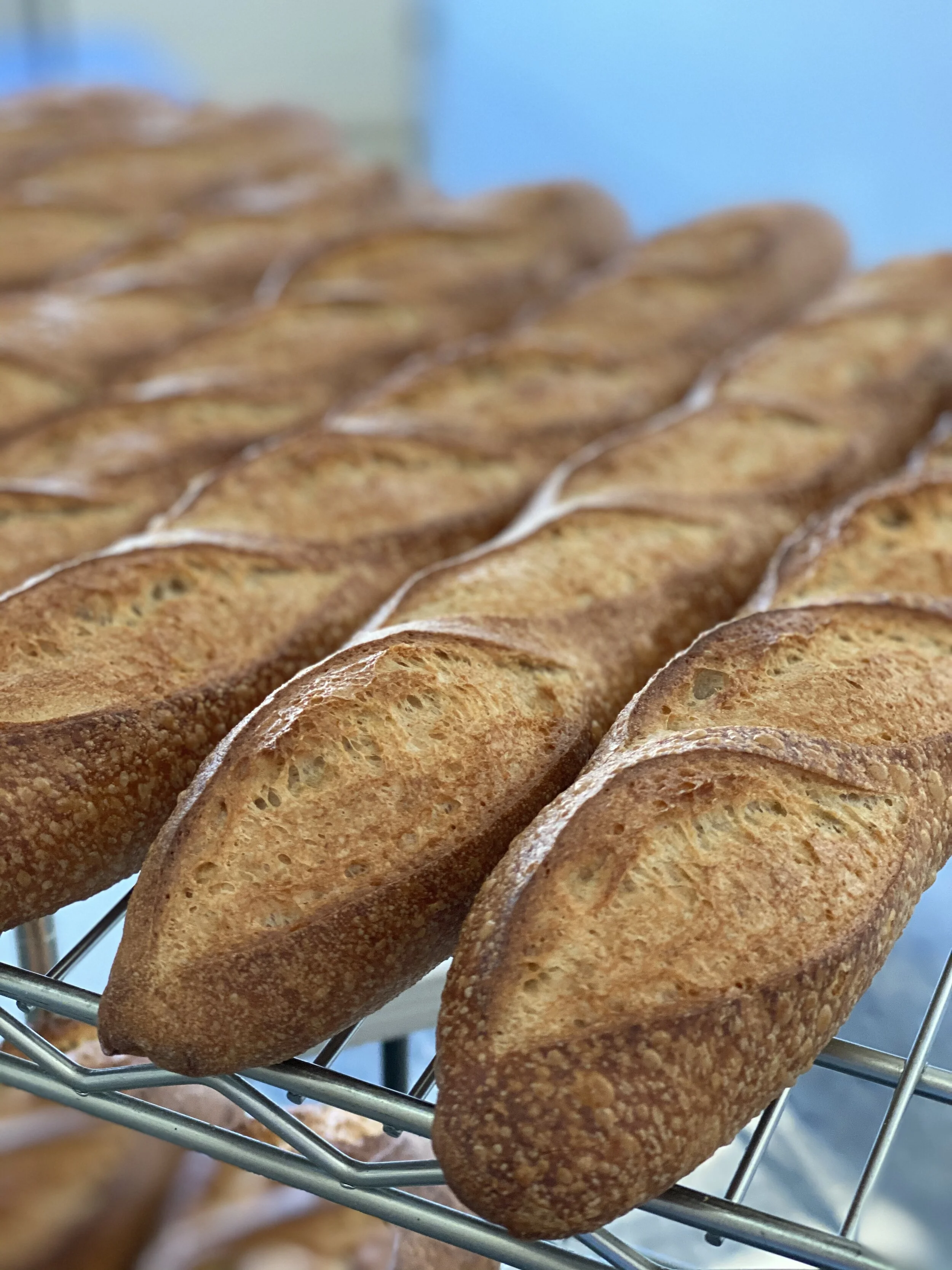 F9904830-178E-4E5B-A9EE-DB234357E416