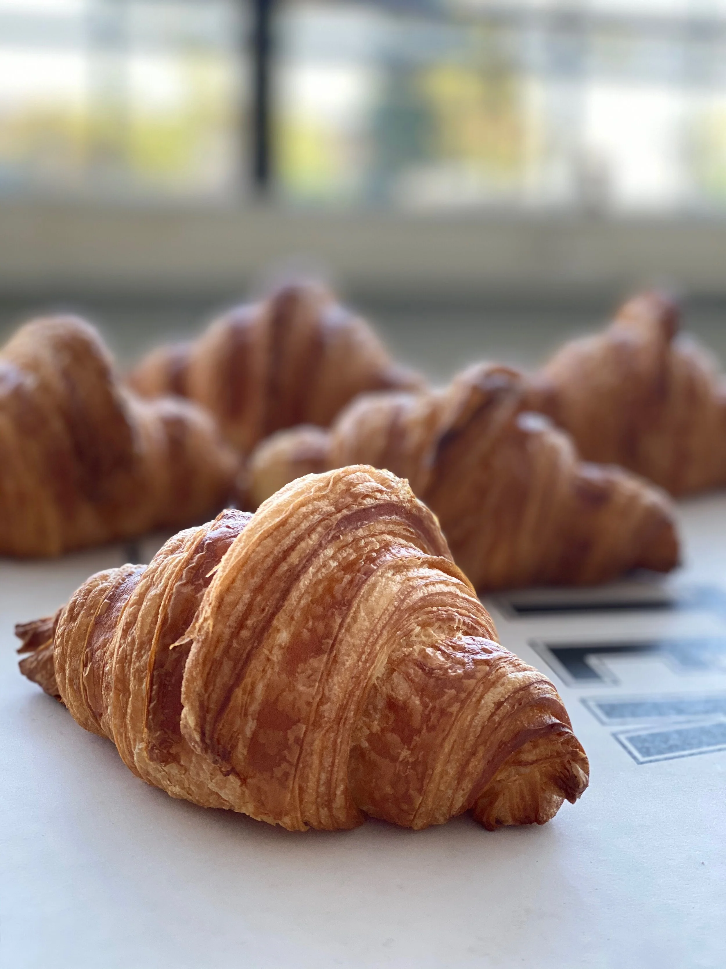 F1B5C95C-8F2E-494B-99DB-A646C499285E