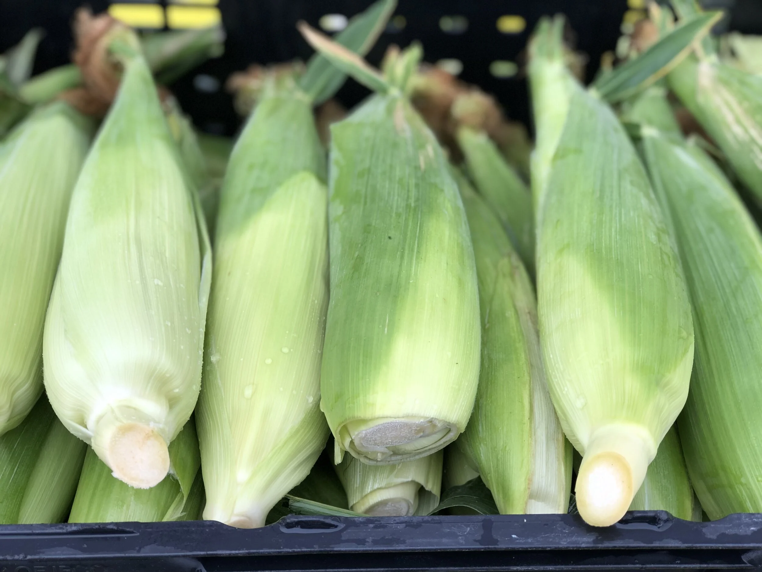 EDD45074-56C1-4962-A873-583C3351BDE9