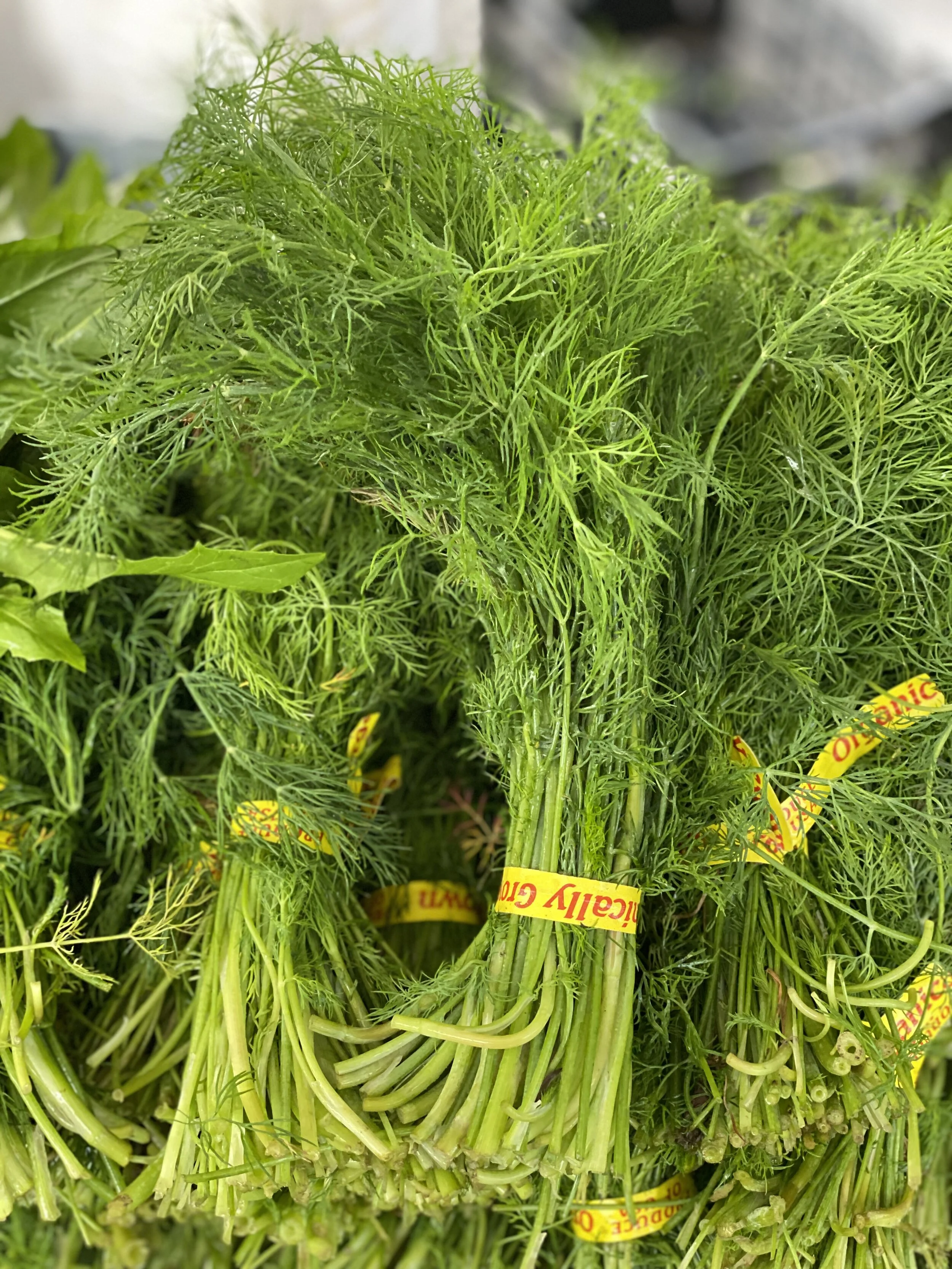 DE8A2536-A337-41A6-9DDF-A7A8A8CBD2D6