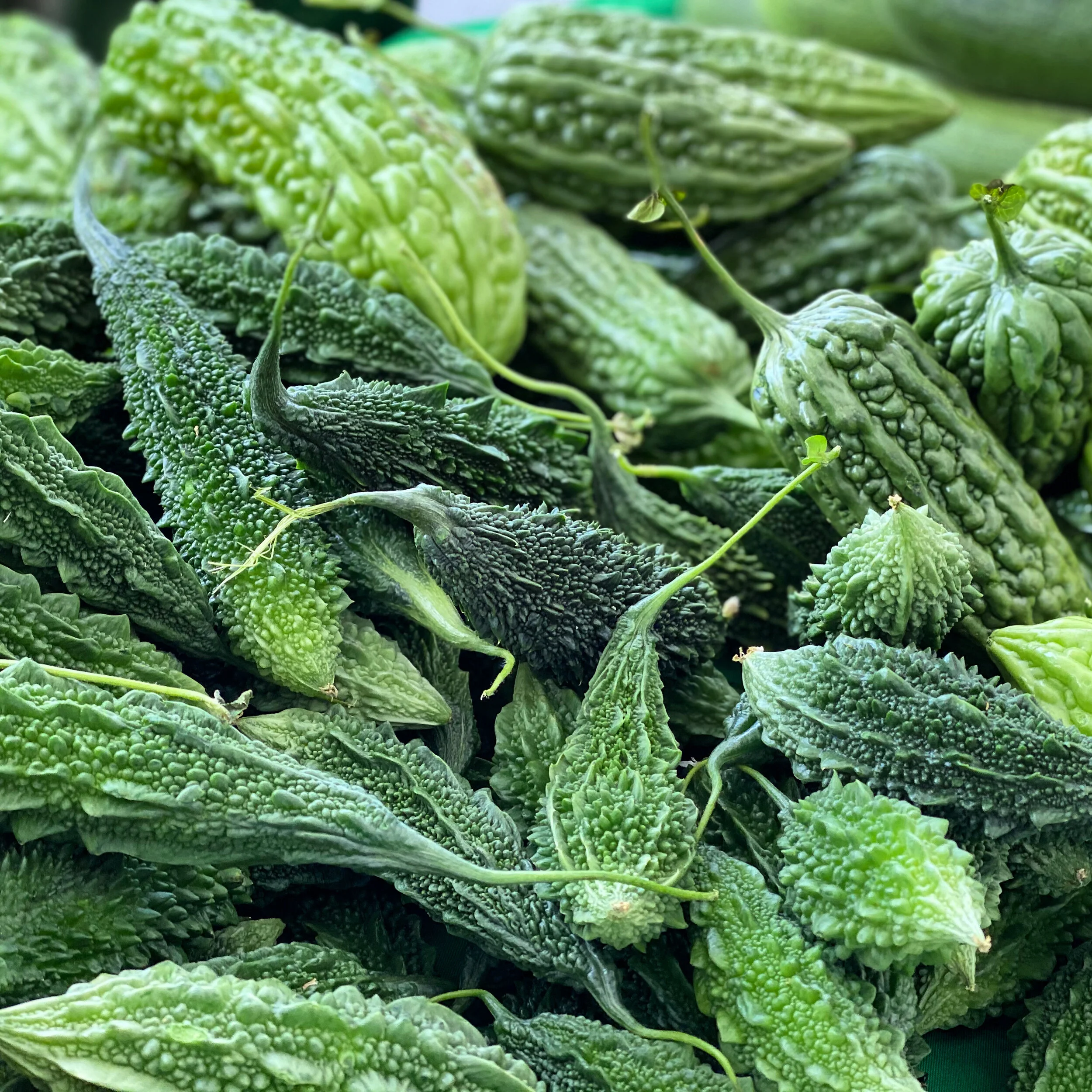 84F71CF7-217C-4C46-A53E-2FF2E87E3122