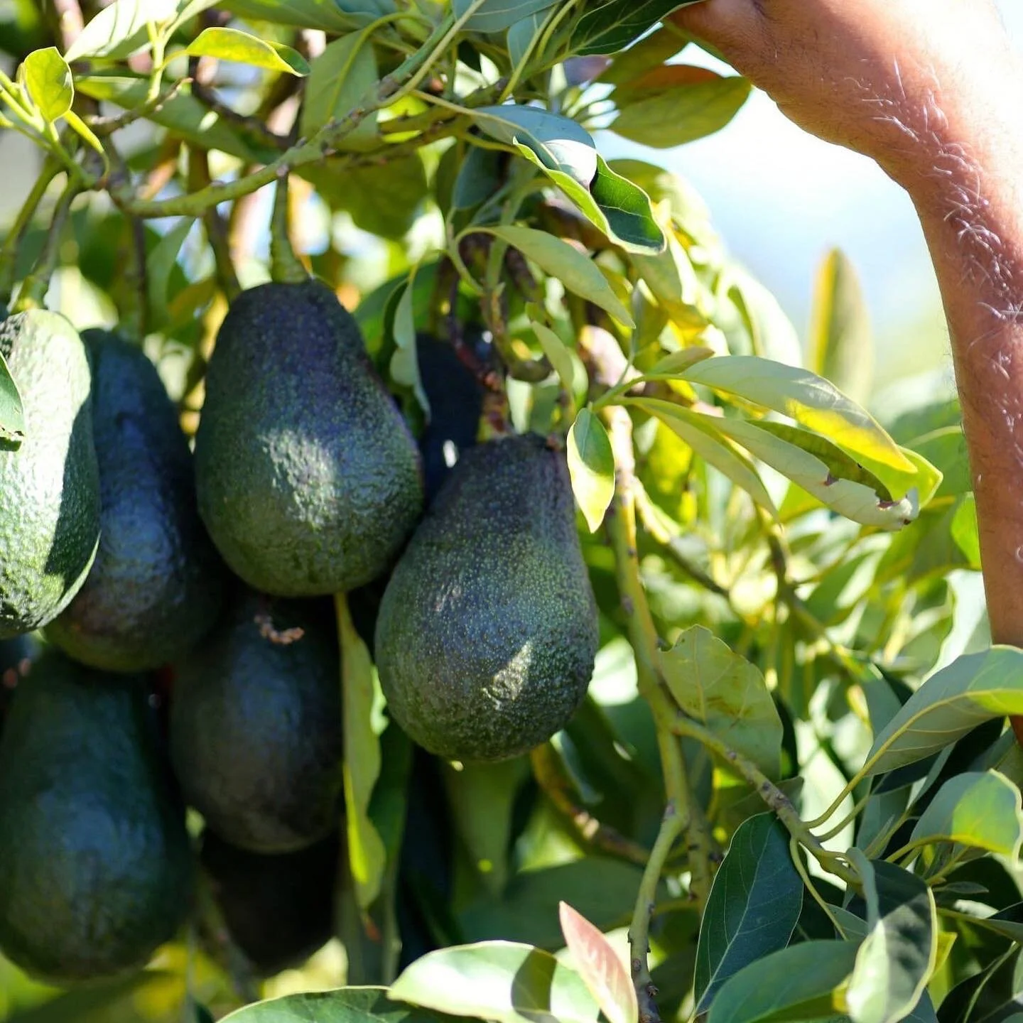 AC94F1CB-DEE8-4FC1-8731-012D62F66A6C