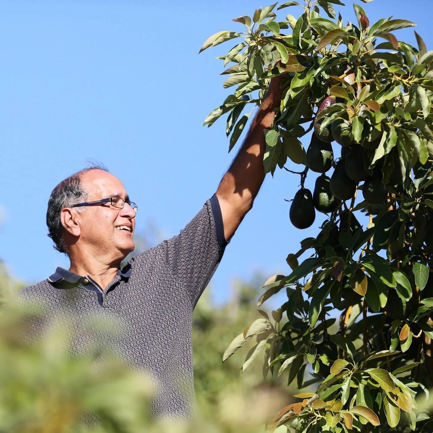 35AAE100-7D47-4C32-9153-C2E6D7F70F87