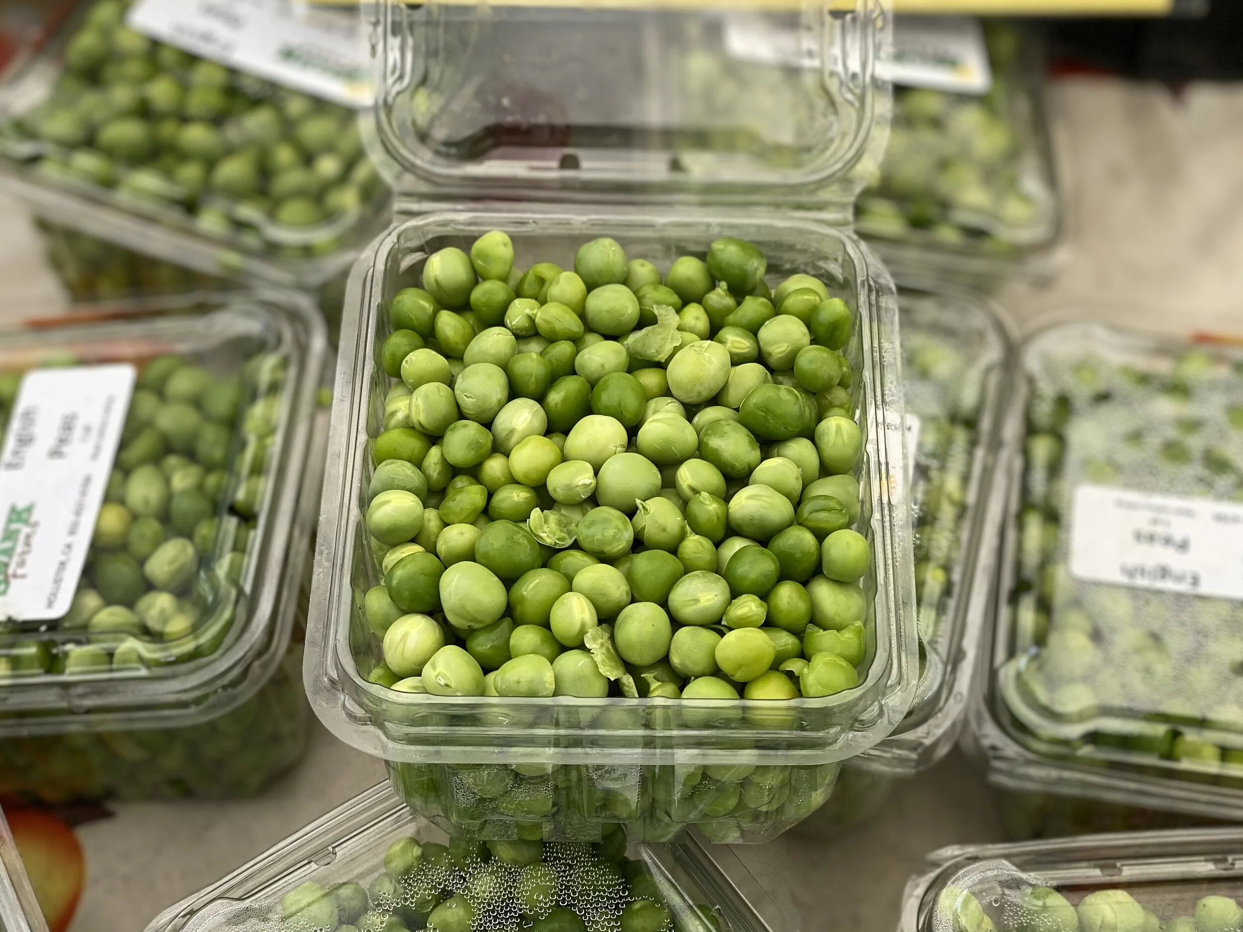 84B66262-7D76-4C4E-9404-75FCBDCF5AA8