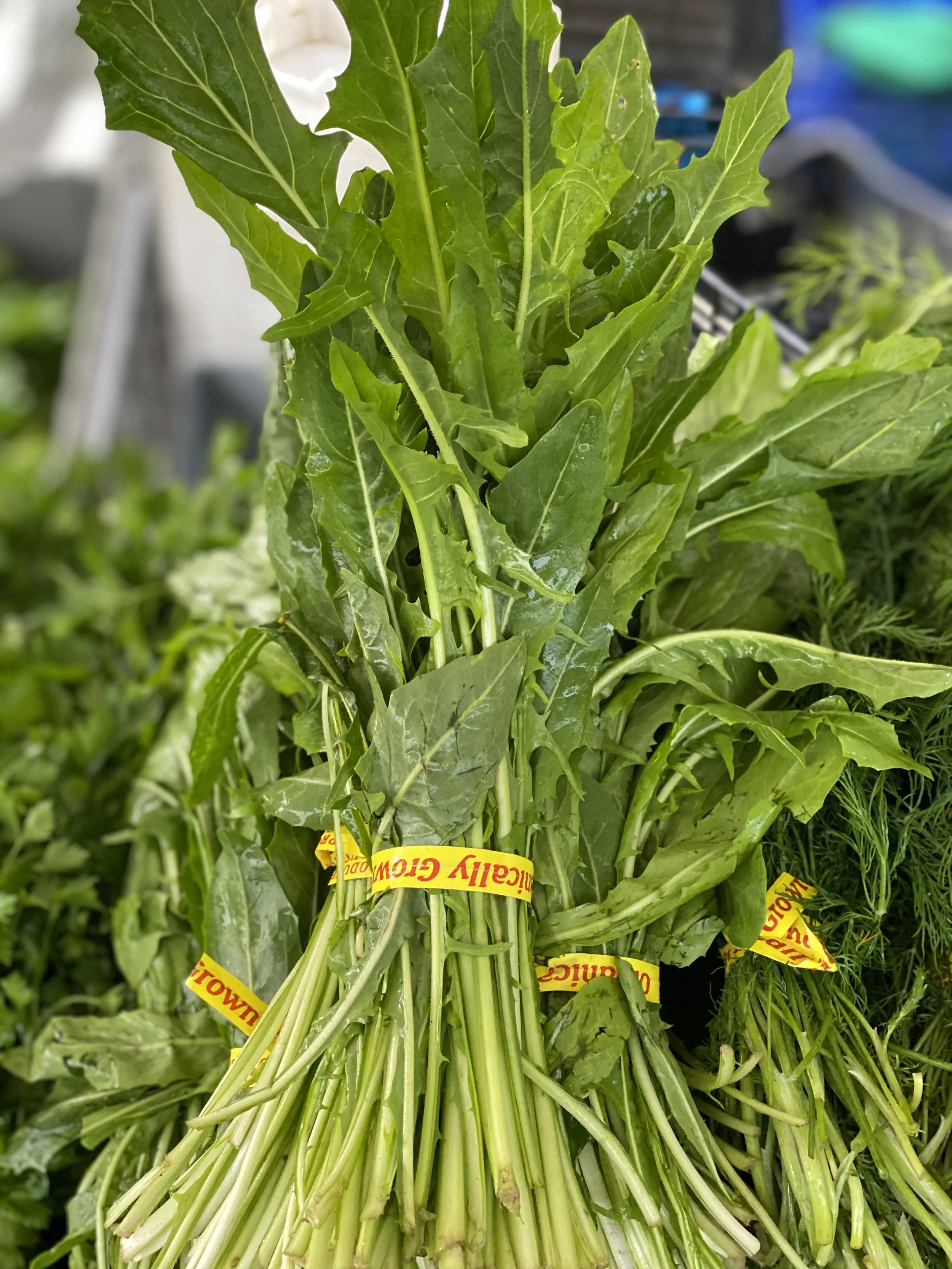 1A4B7534-CD2F-47D7-A097-7E0ADF697AF9