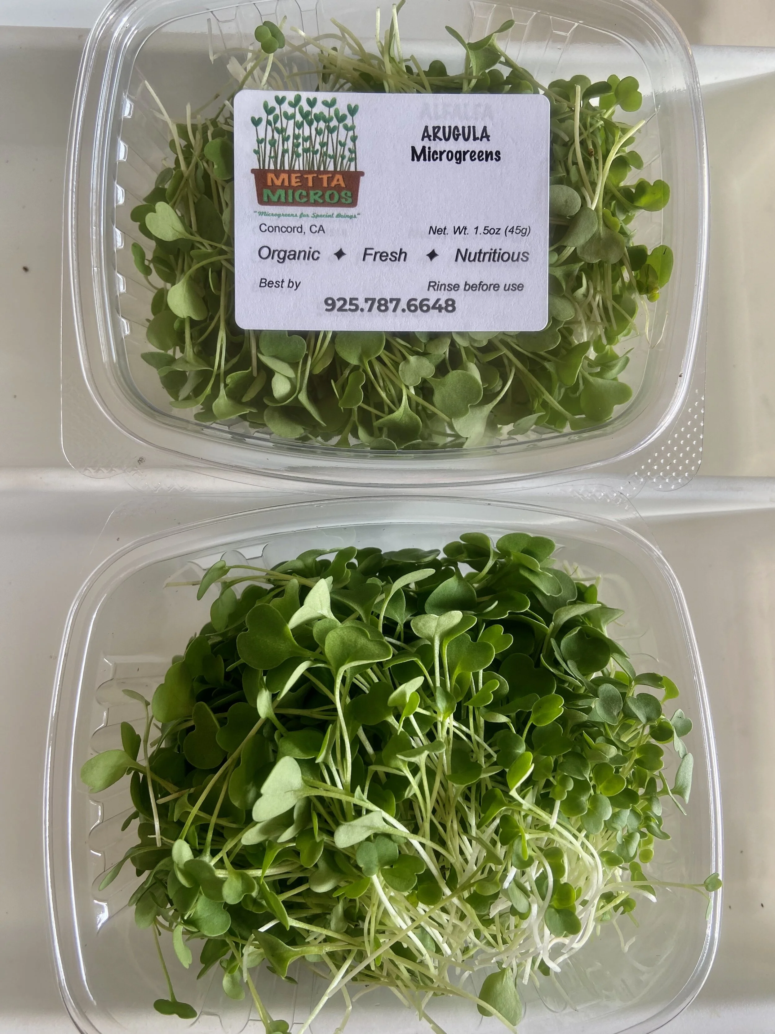 97C5A497-D521-40F2-8F85-83ADABC67AAF