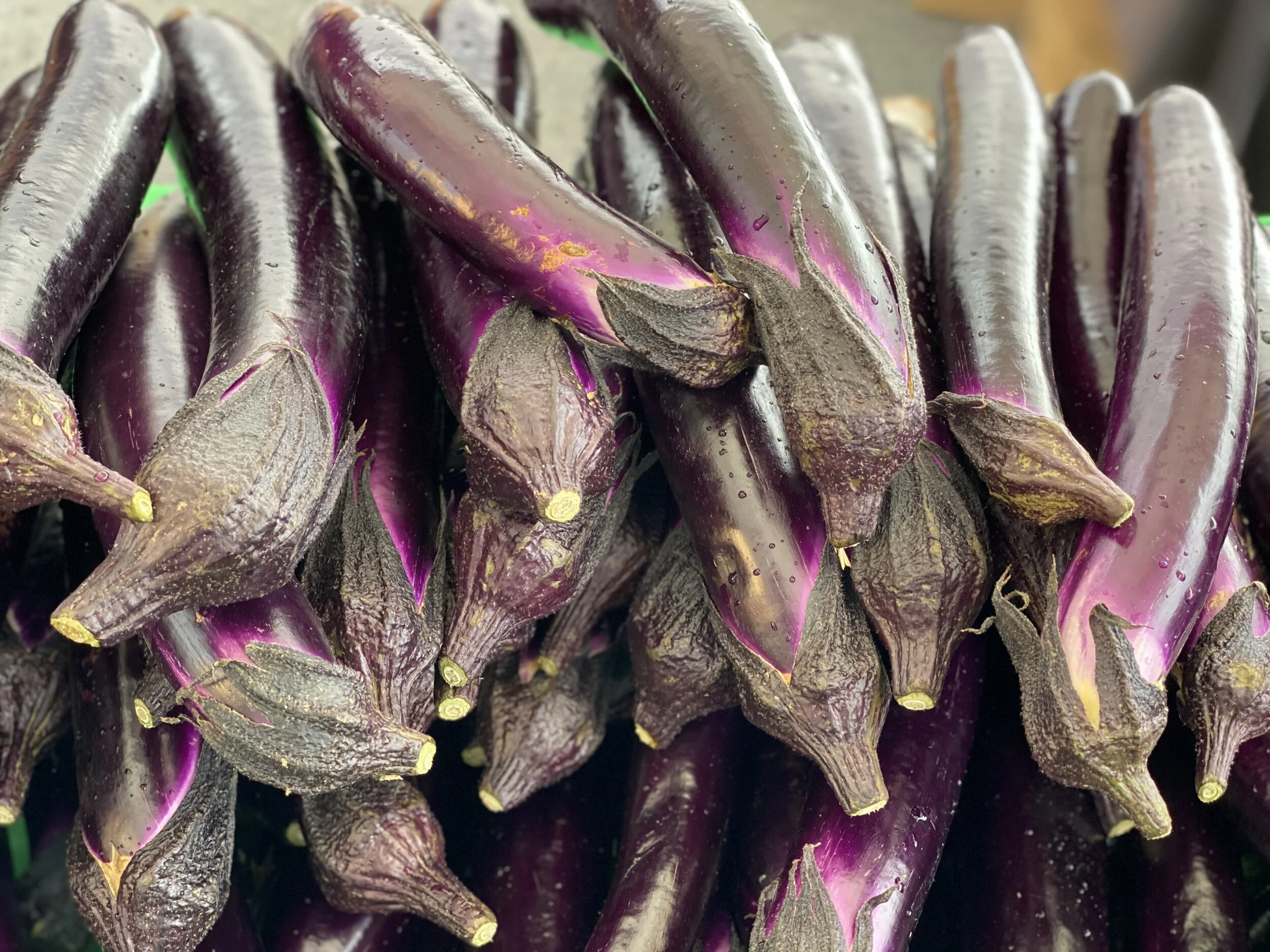 223FB2BC-65CF-40FC-9B1C-0D333274B3B4