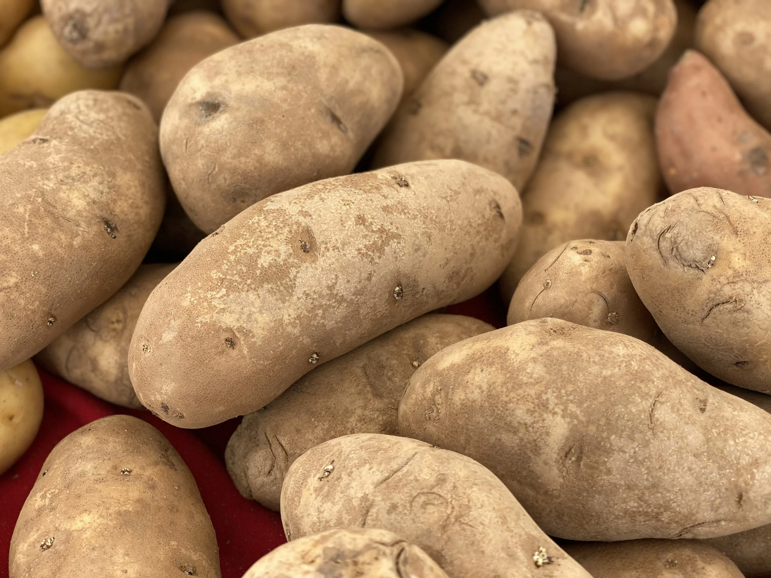 3886AAAF-E3E6-4E6A-AD85-86A2F72E094A