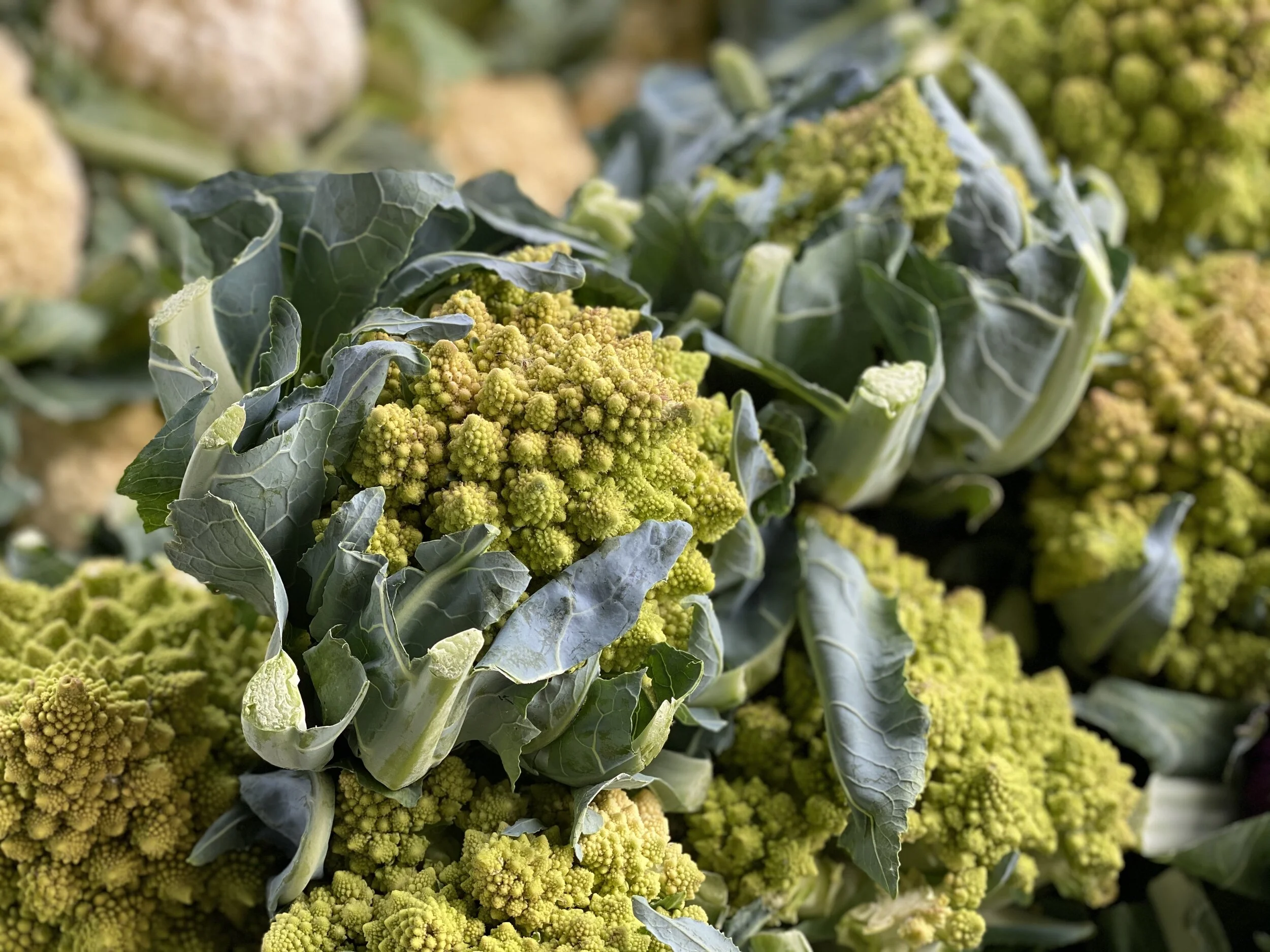 DC7FBCB0-2678-47E9-AC62-72C9C32FEF9F