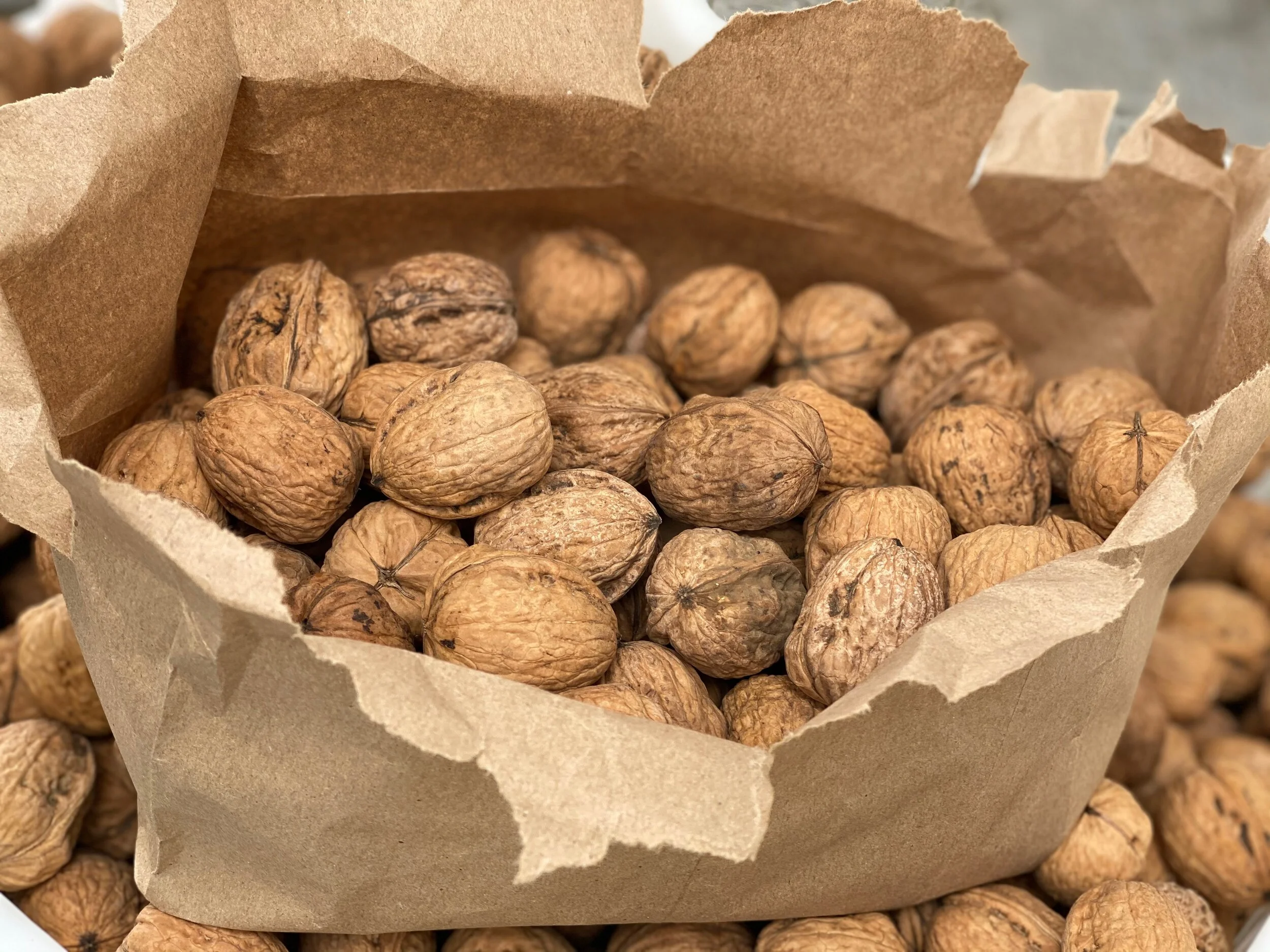 057A0264-FEC8-4BB2-83CF-814854CC1EBB