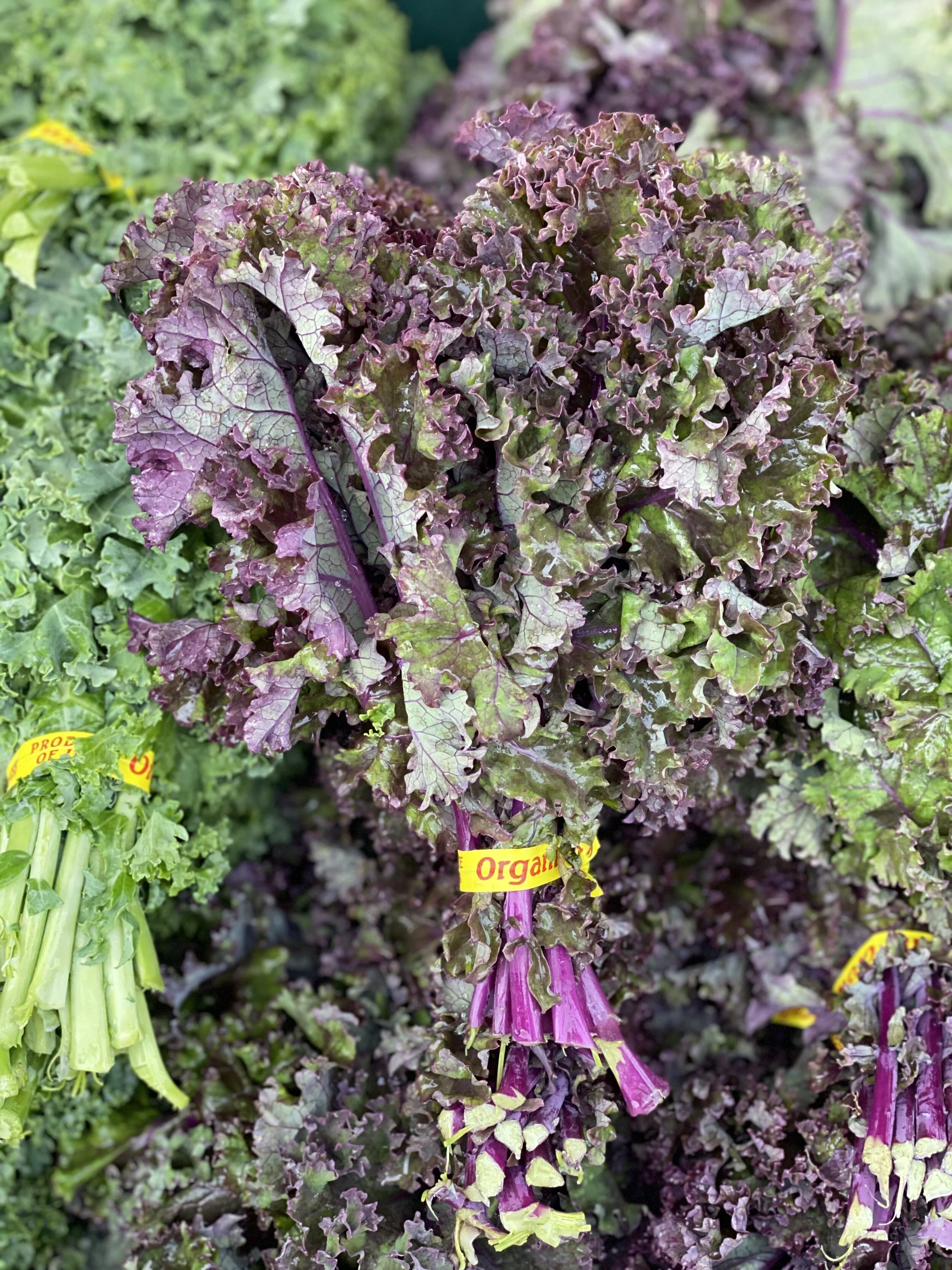 F6B697D2-C78F-4A21-83F1-71668515B54B