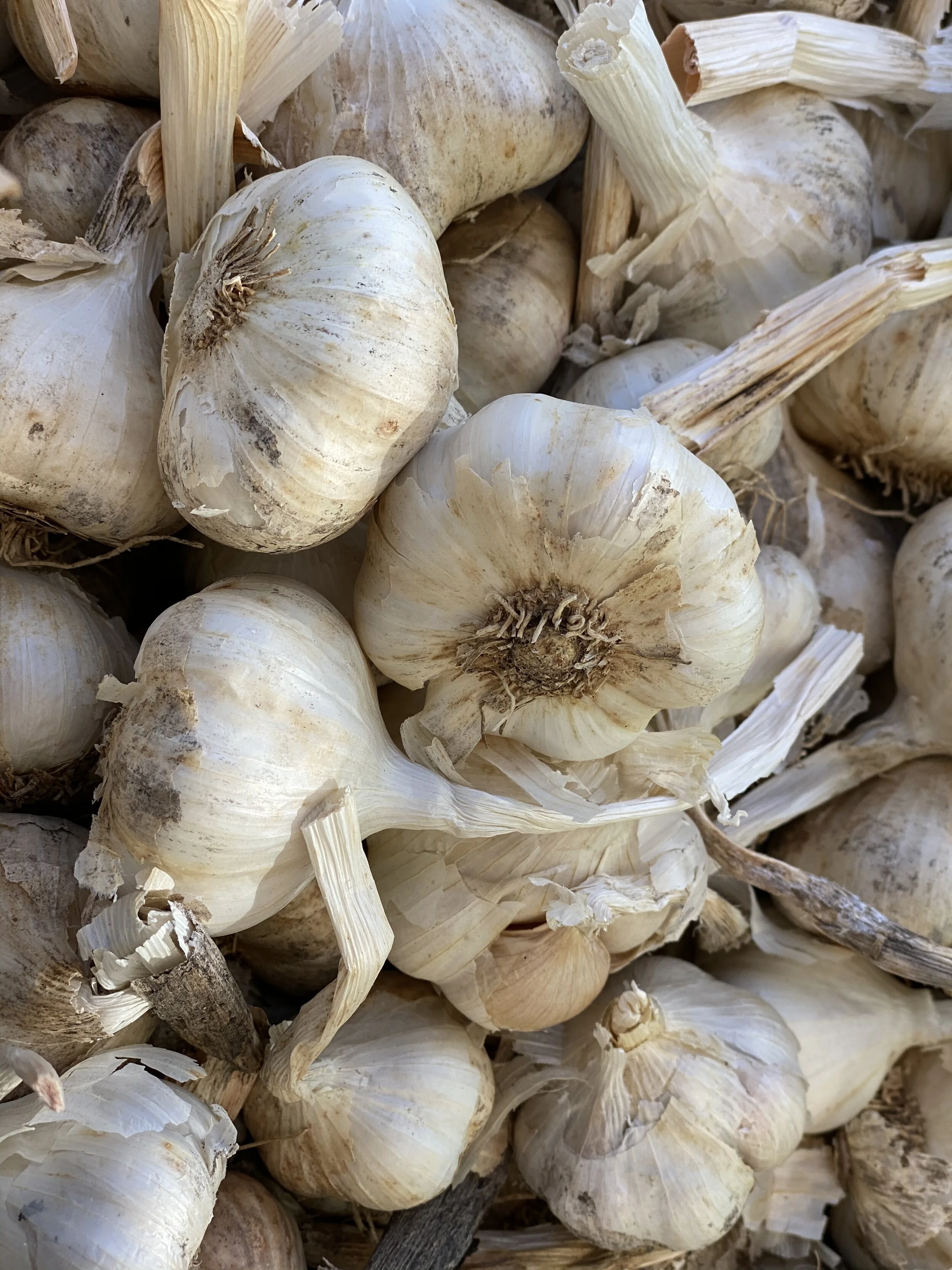 AC8D8F0A-FDC6-49FB-BA5B-49E5174432D2